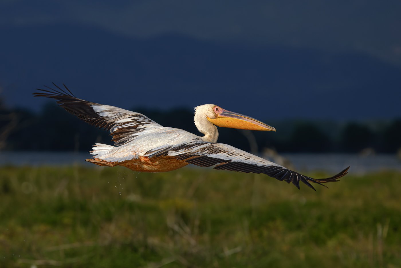 untitled (337 of 2162)-CR3-Edit.jpg