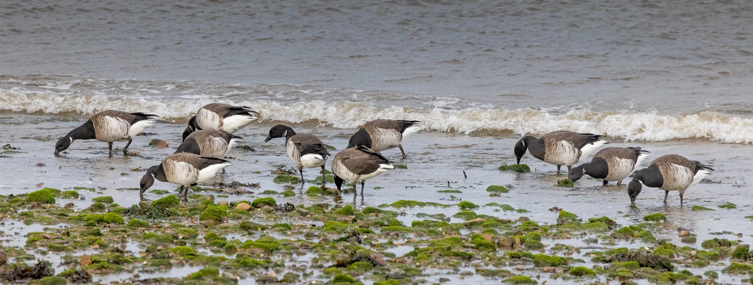 untitled (6 of 147)-Edit2-Edit-Edit.jpg