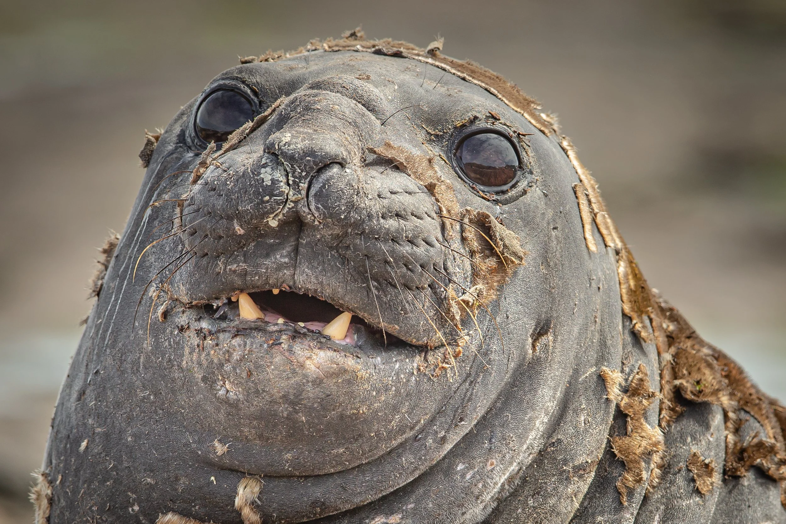 untitled (117 of 348).jpg