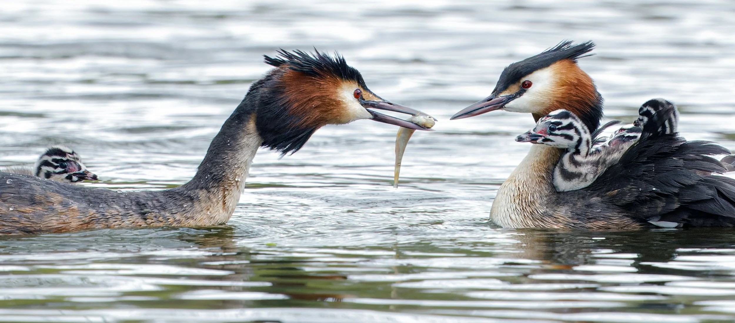 untitled (78 of 363)-CR3-Edit.jpg