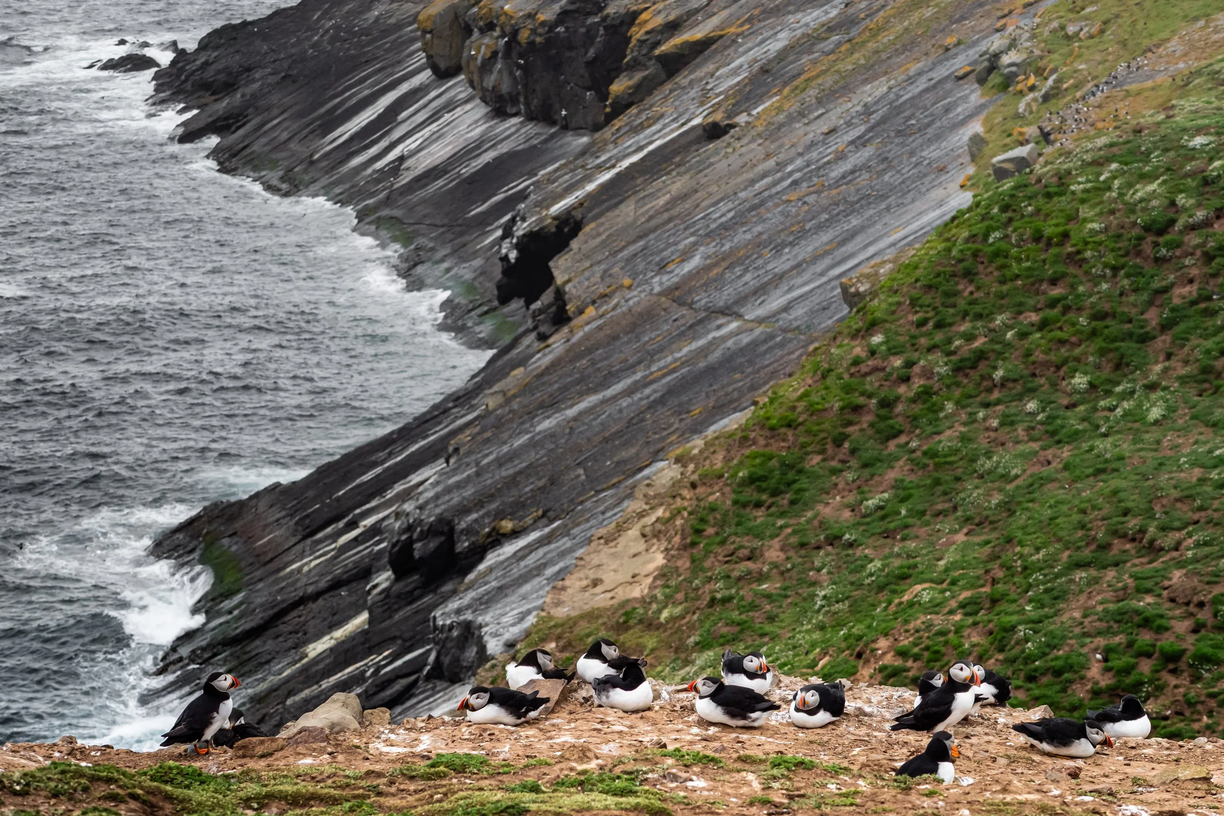 untitled (372 of 1928).jpg