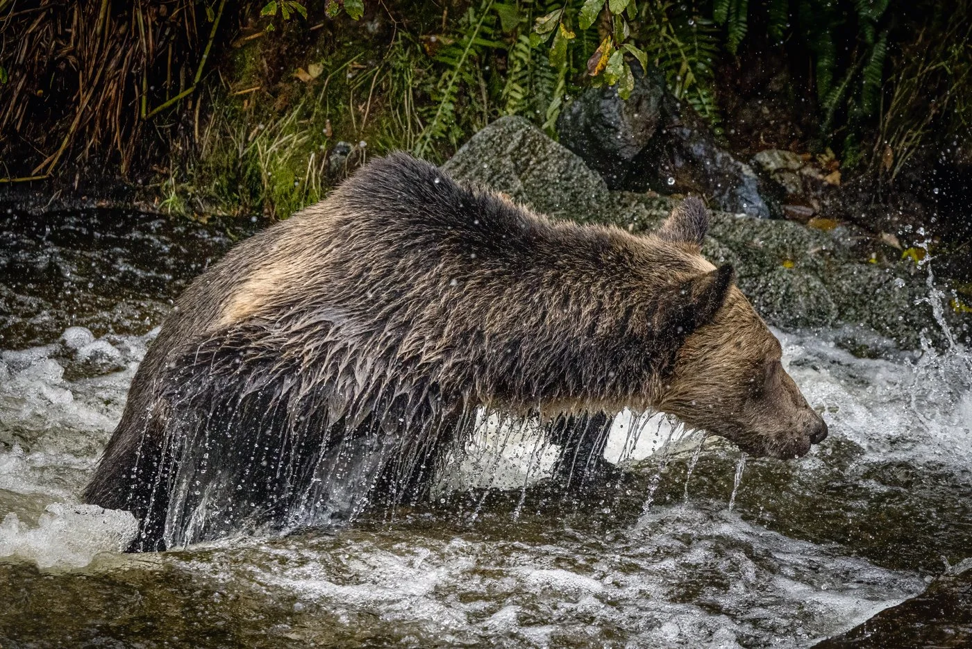 untitled (761 of 1393)-Edit-Edit-Edit.jpg