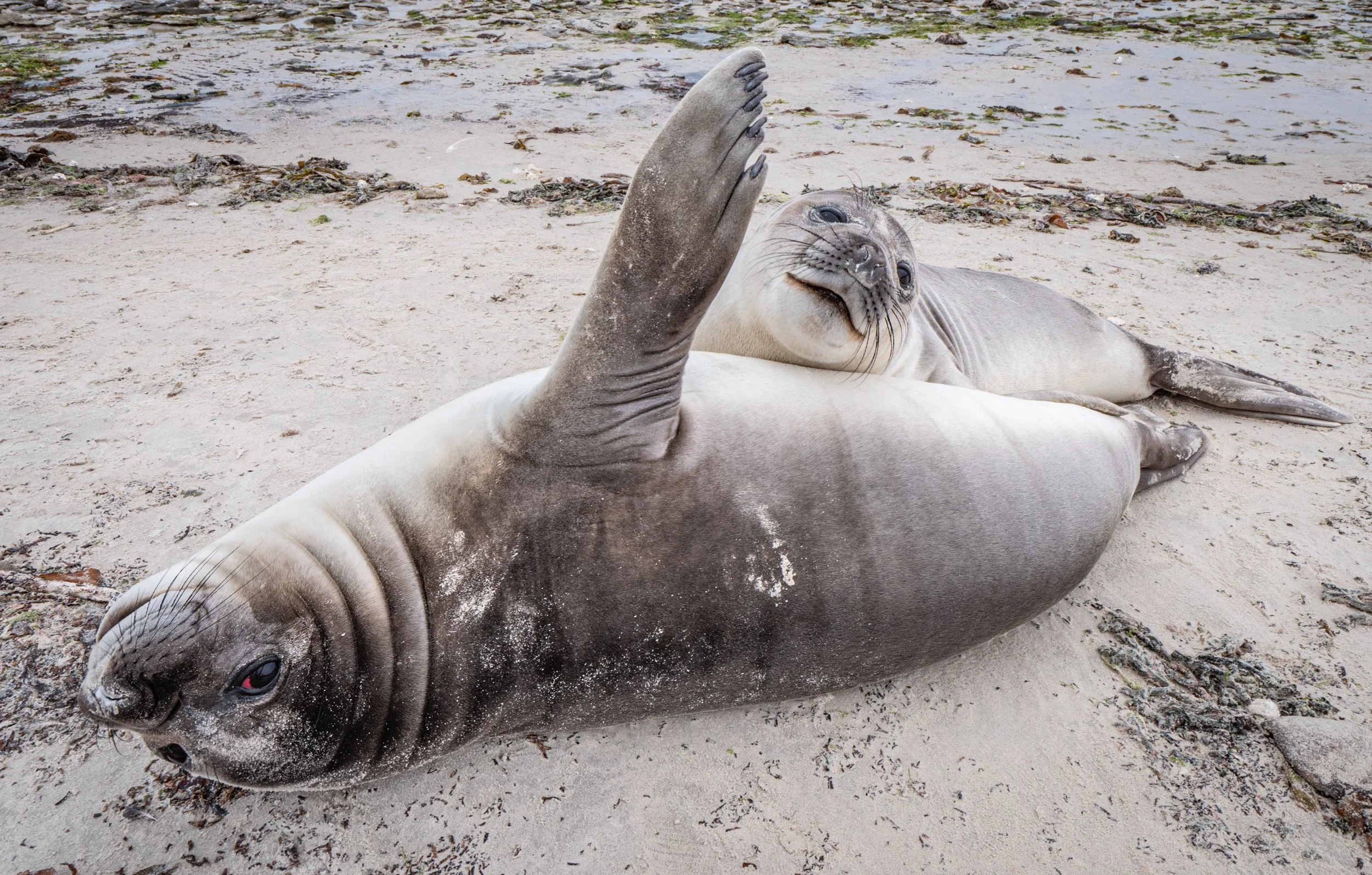 Lumix  3 (356 of 579).jpg