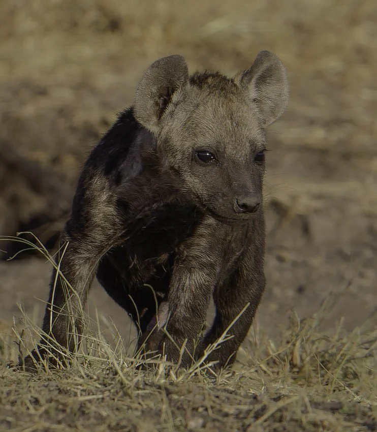 untitled (4025 of 6546)-RW2.jpg