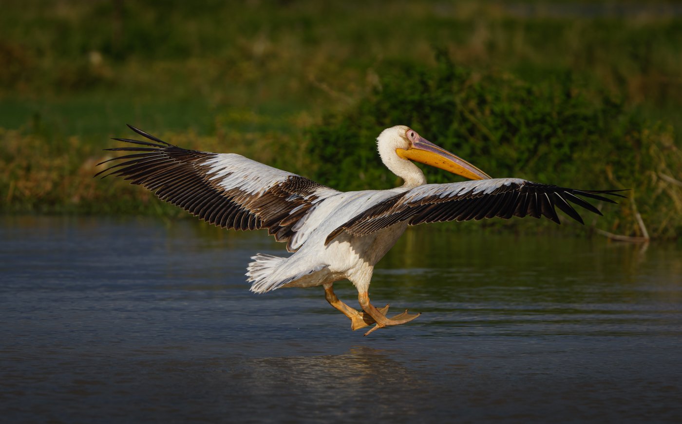 untitled (289 of 2162)-CR3-Edit.jpg