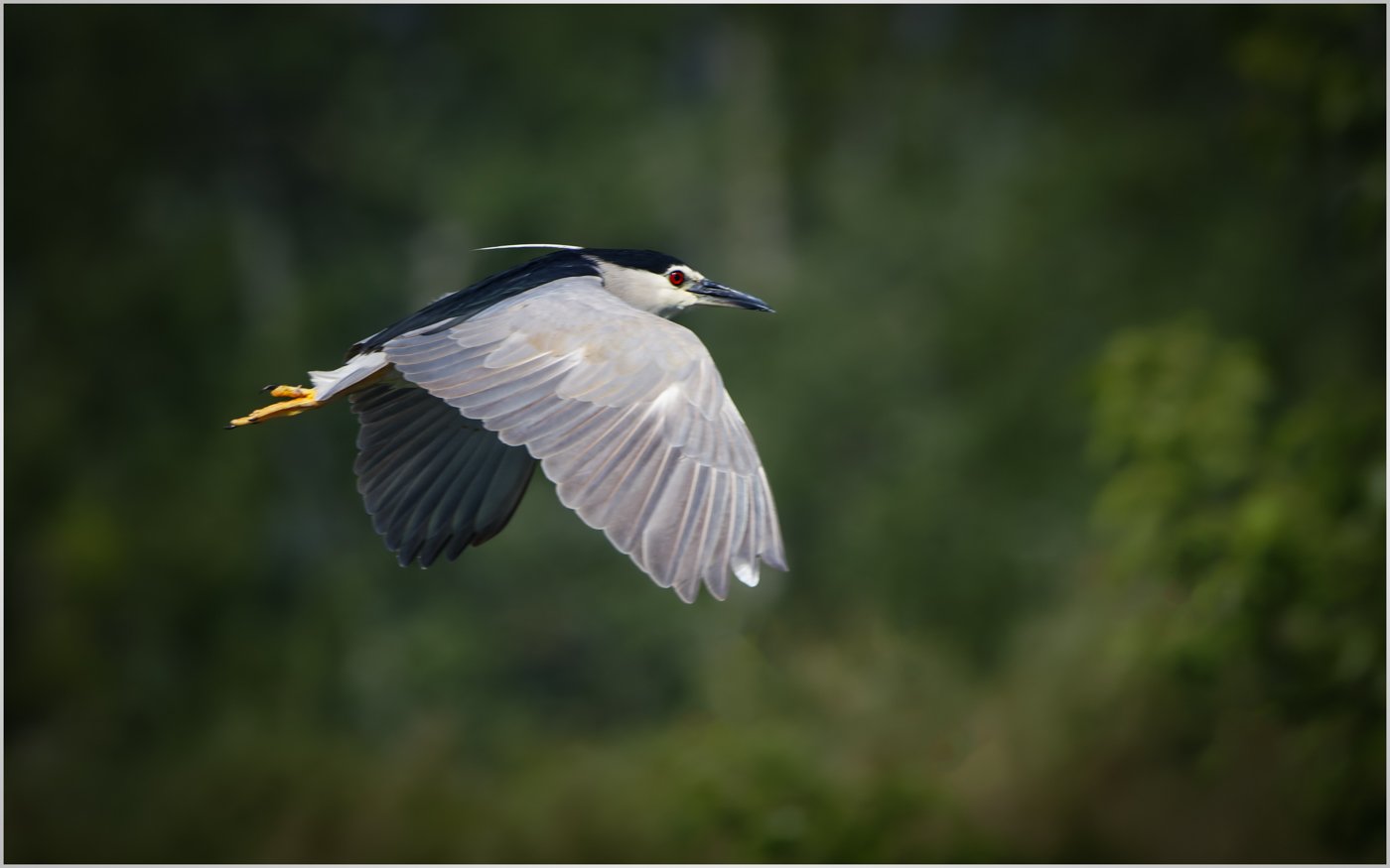 untitled (137 of 1865)-CR3-Edit.jpg