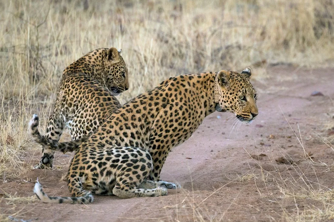 Namibia 18 (1872 of 2184)-Edit.jpg