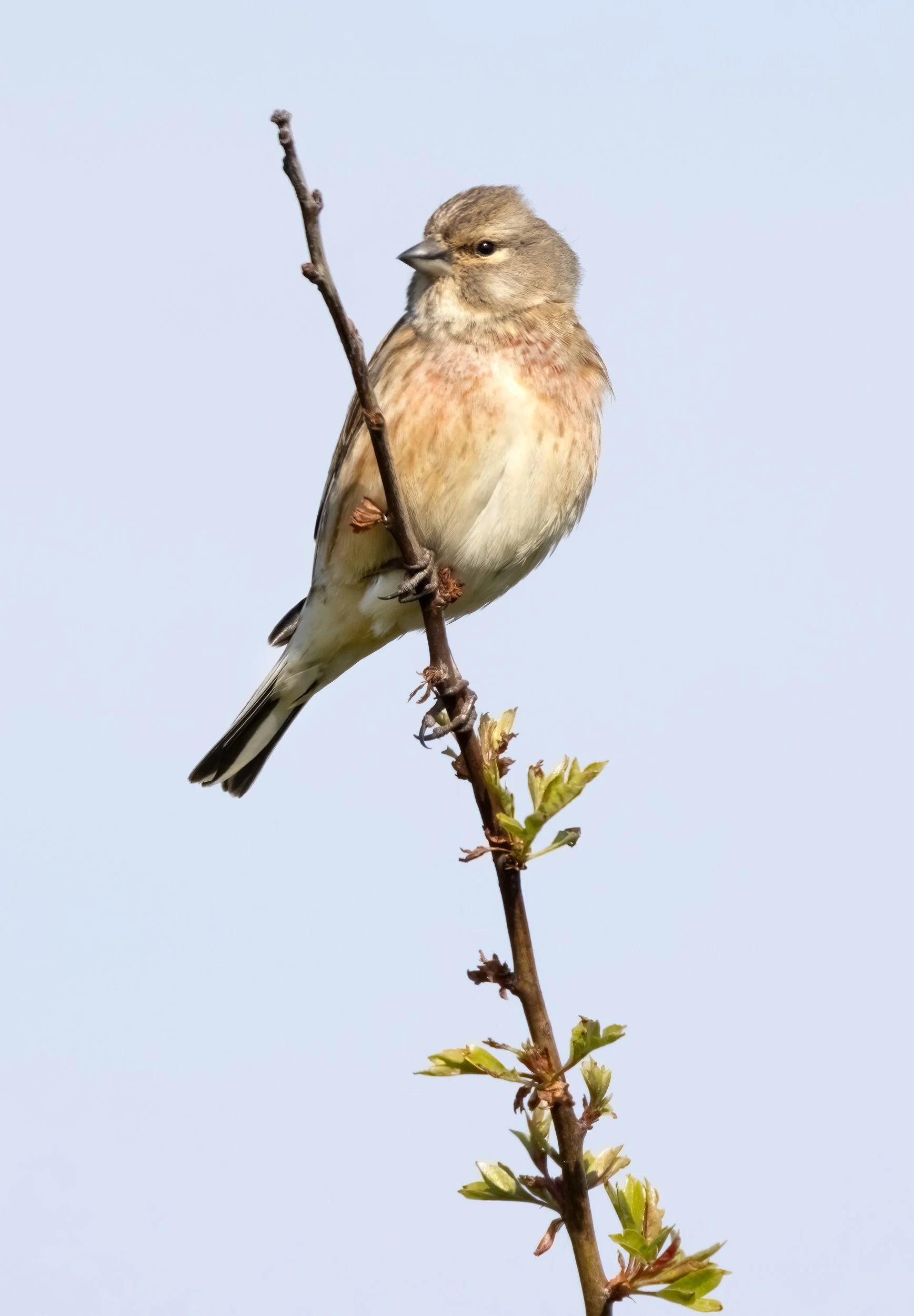 untitled (673 of 922)-Edit-Edit.jpg