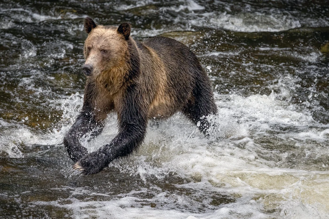 untitled (820 of 1393)-Edit-Edit.jpg