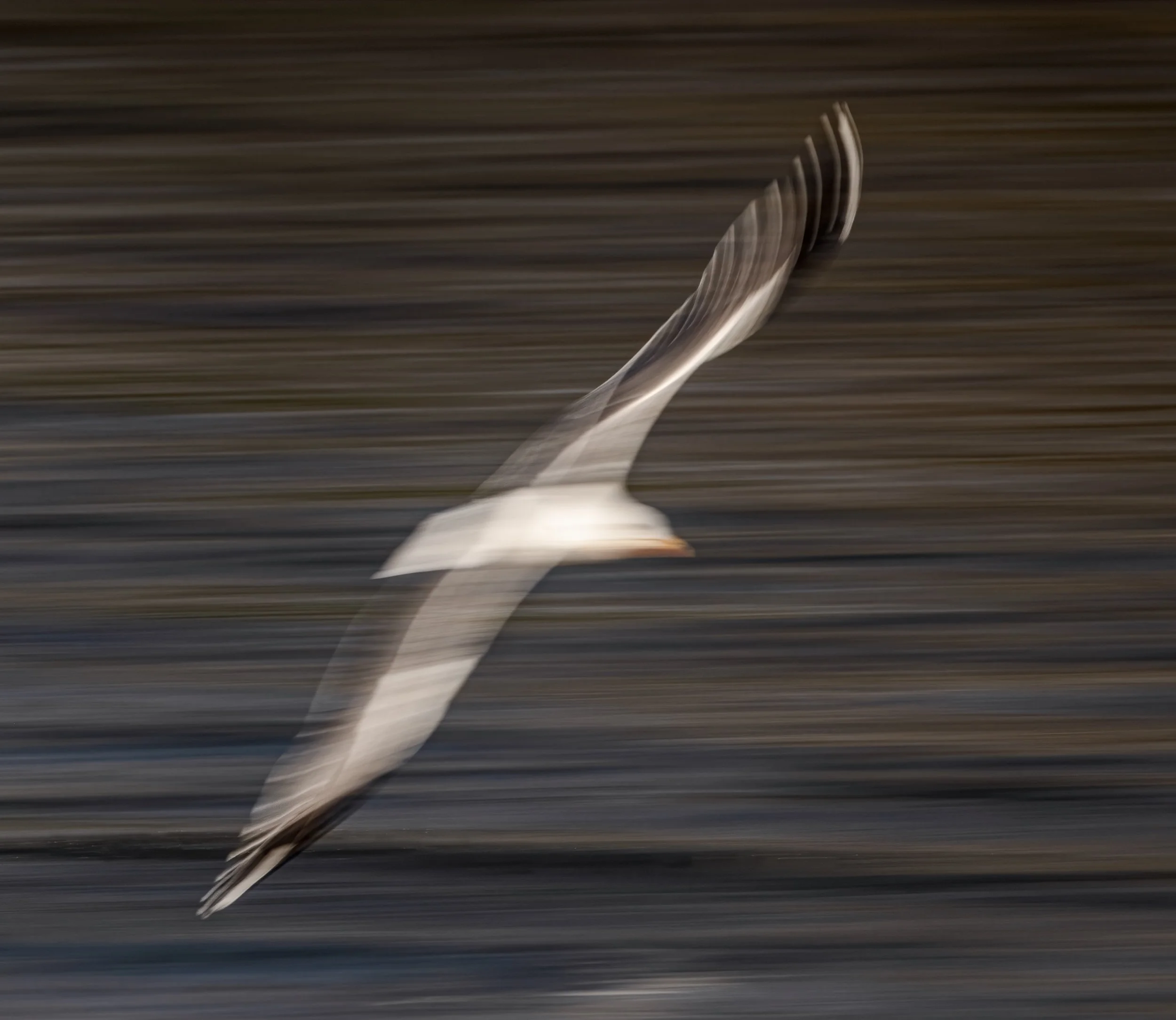 untitled (378 of 791)-Edit-Edit.jpg