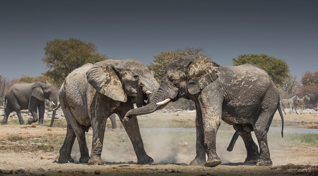 Namibia 18 (1076 of 2184).jpg