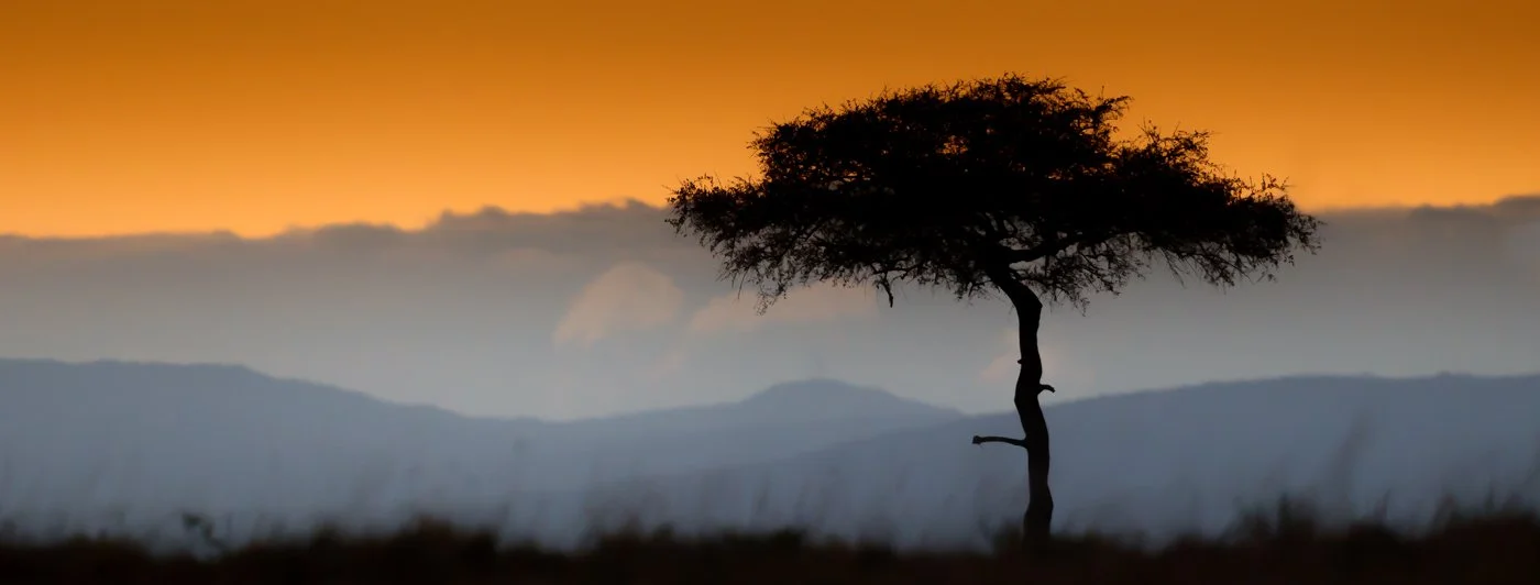 Kenya Landscape-Edit.jpg