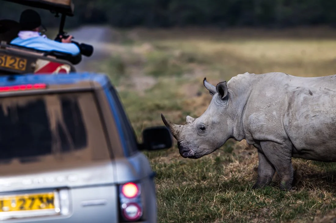 Lake Nukuru, Kenya  2011 13-2325.jpg