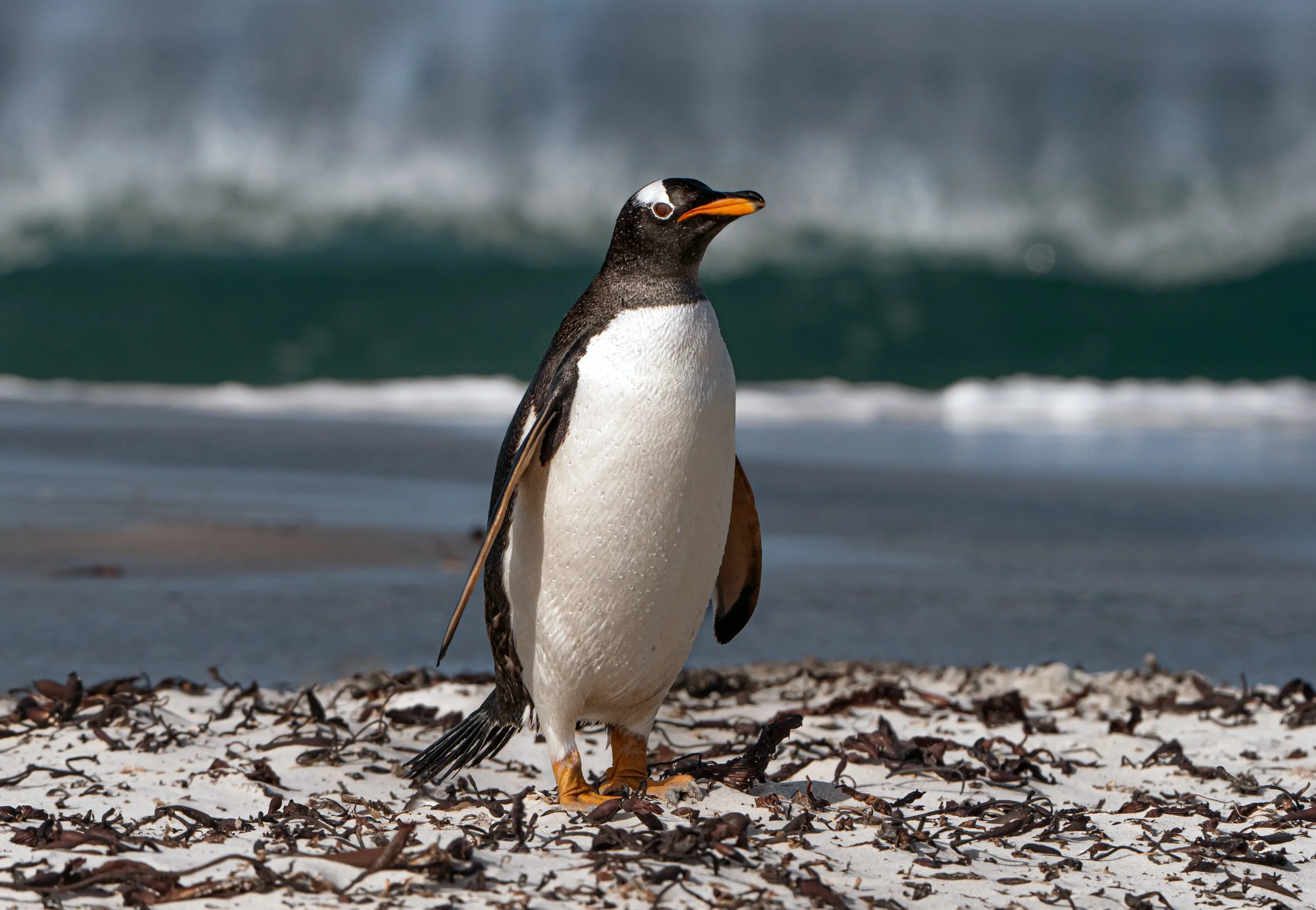 Lumix  4 (615 of 712).jpg