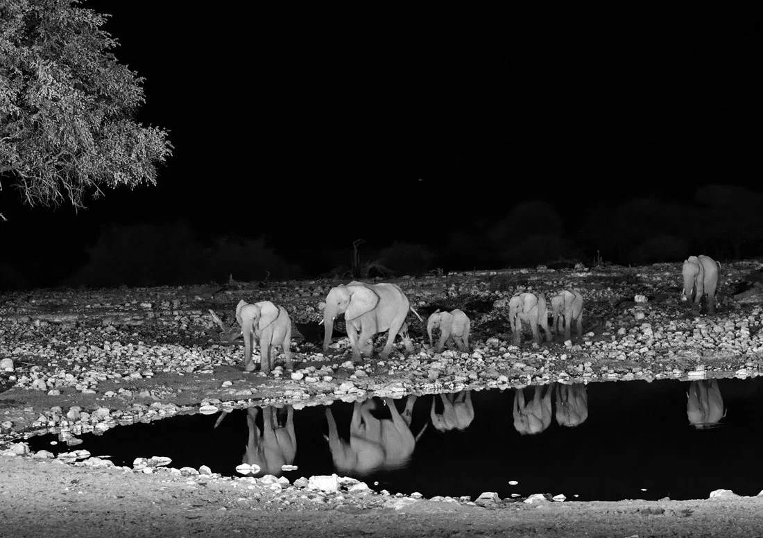 Namibia 18 (221 of 2184)-Edit-3-Edit-Edit.jpg