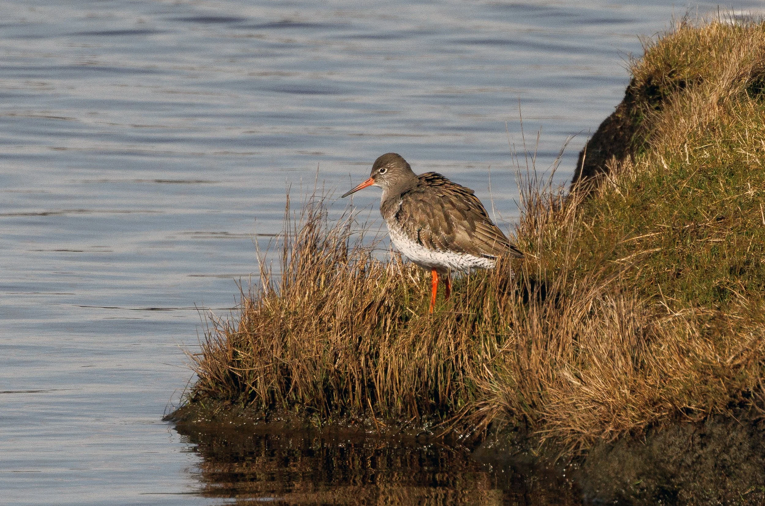 untitled (329 of 477)-2.jpg