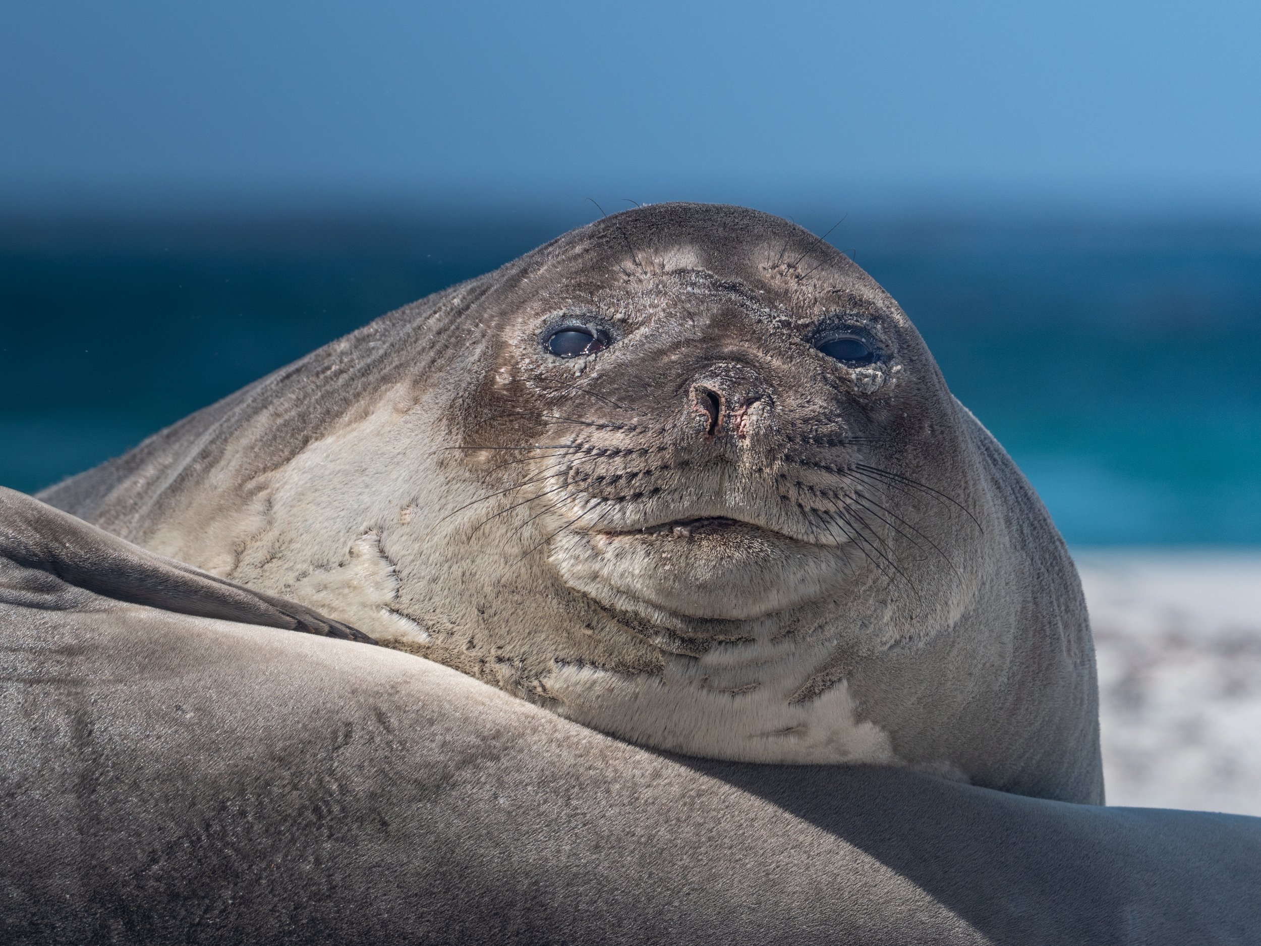 Lumix  4 (620 of 712).jpg