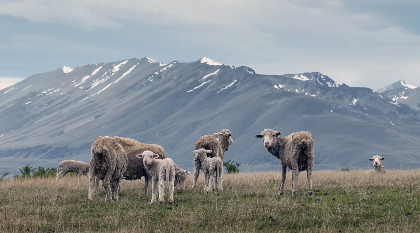 untitled (752 of 1743)-Edit-Edit.jpg