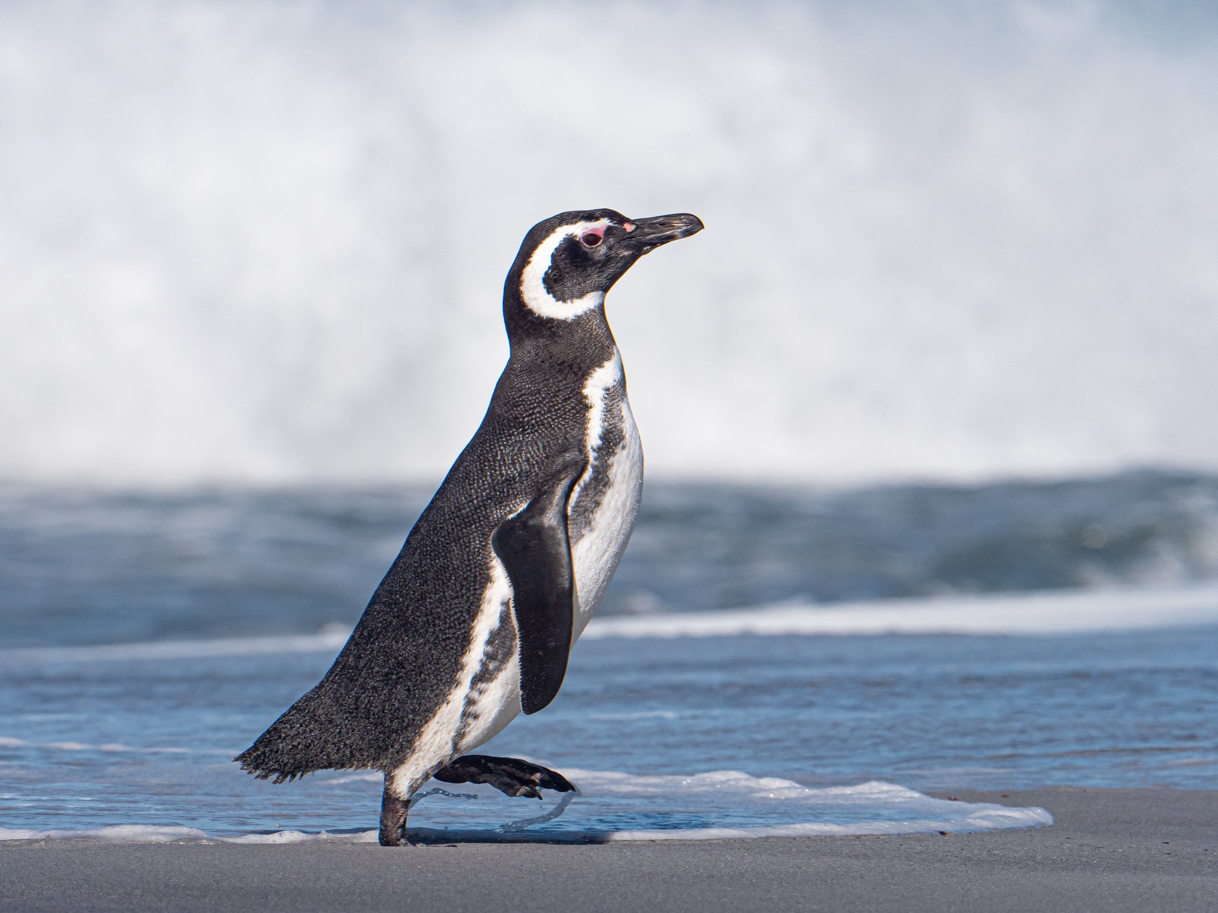 Lumix  4 (704 of 712).jpg