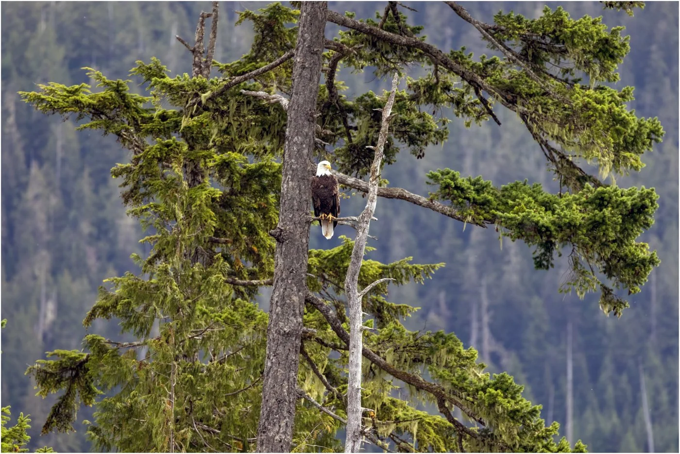 untitled (648 of 870)-Edit-Edit.jpg