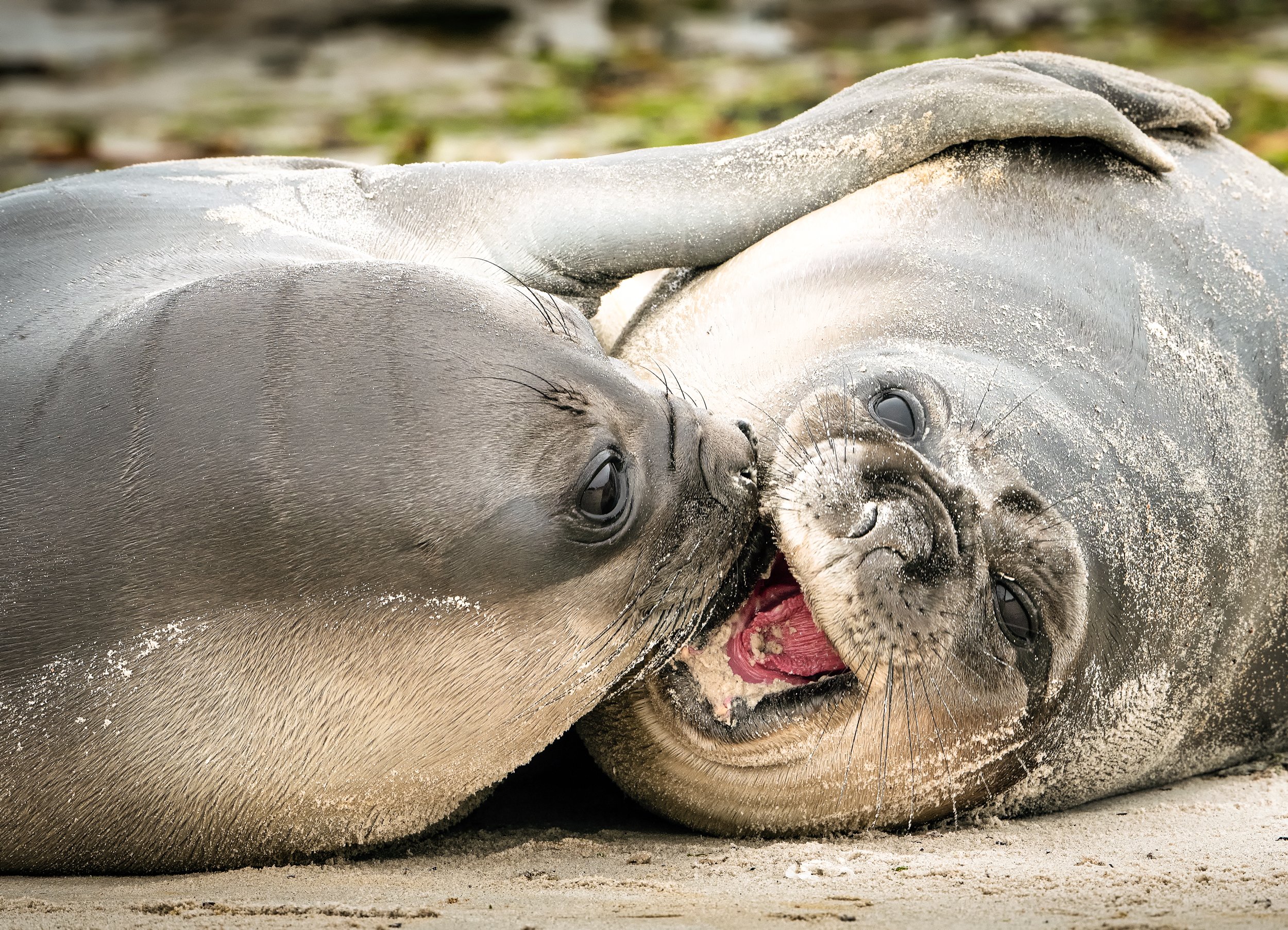 Lumix  3 (534 of 579)-Edit-Edit-Edit.jpg