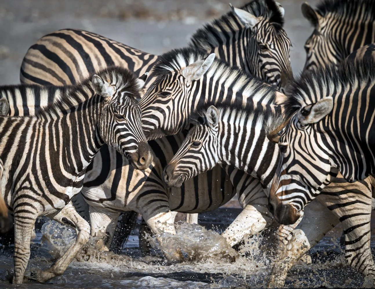 Namibia 17 (22 of 879)-Edit.jpg