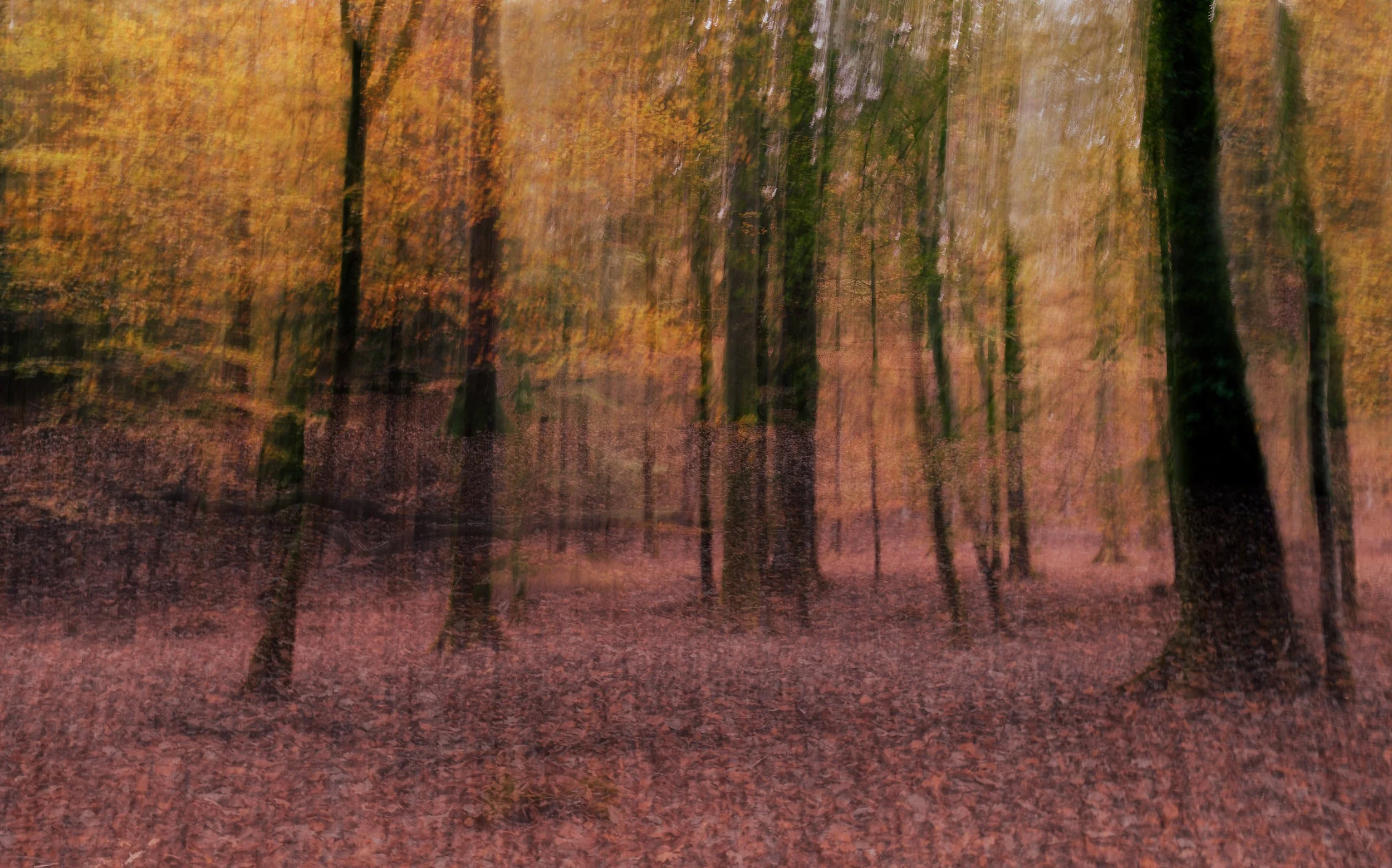 untitled (225 of 370)-DNG-Edit.3.jpg