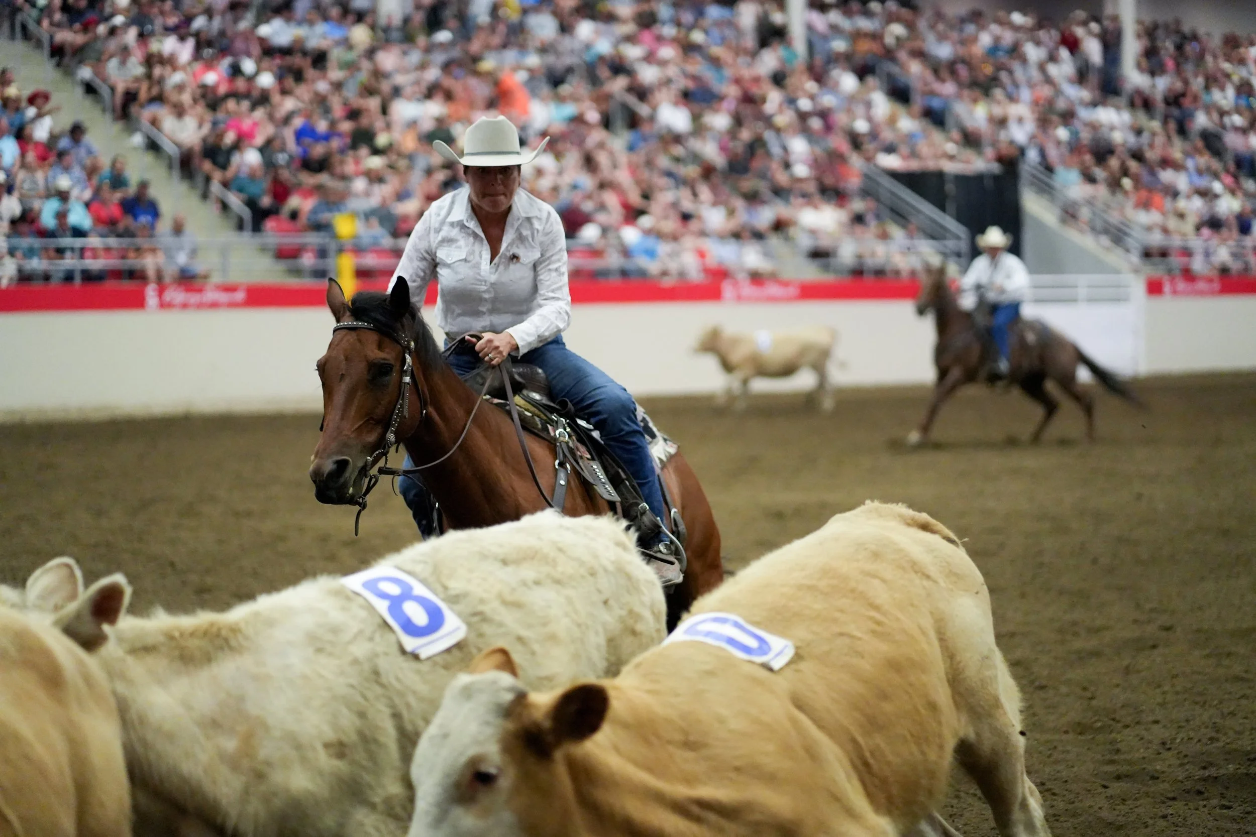 Sal Howell - Penning, Calgary Stampede 2023