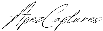 ApezCaptures