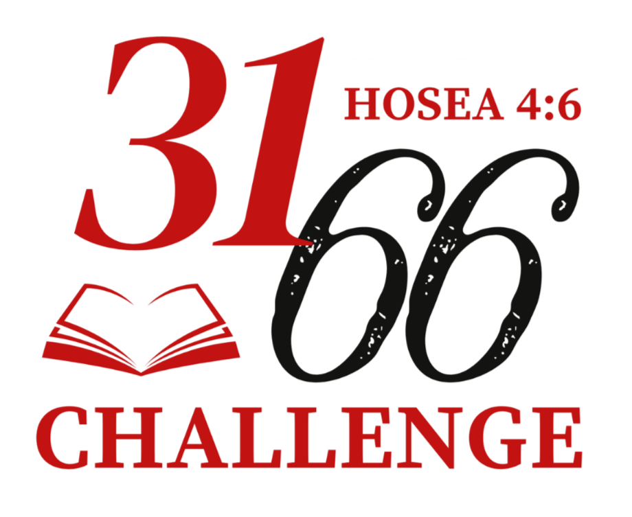 31/66 Challenge