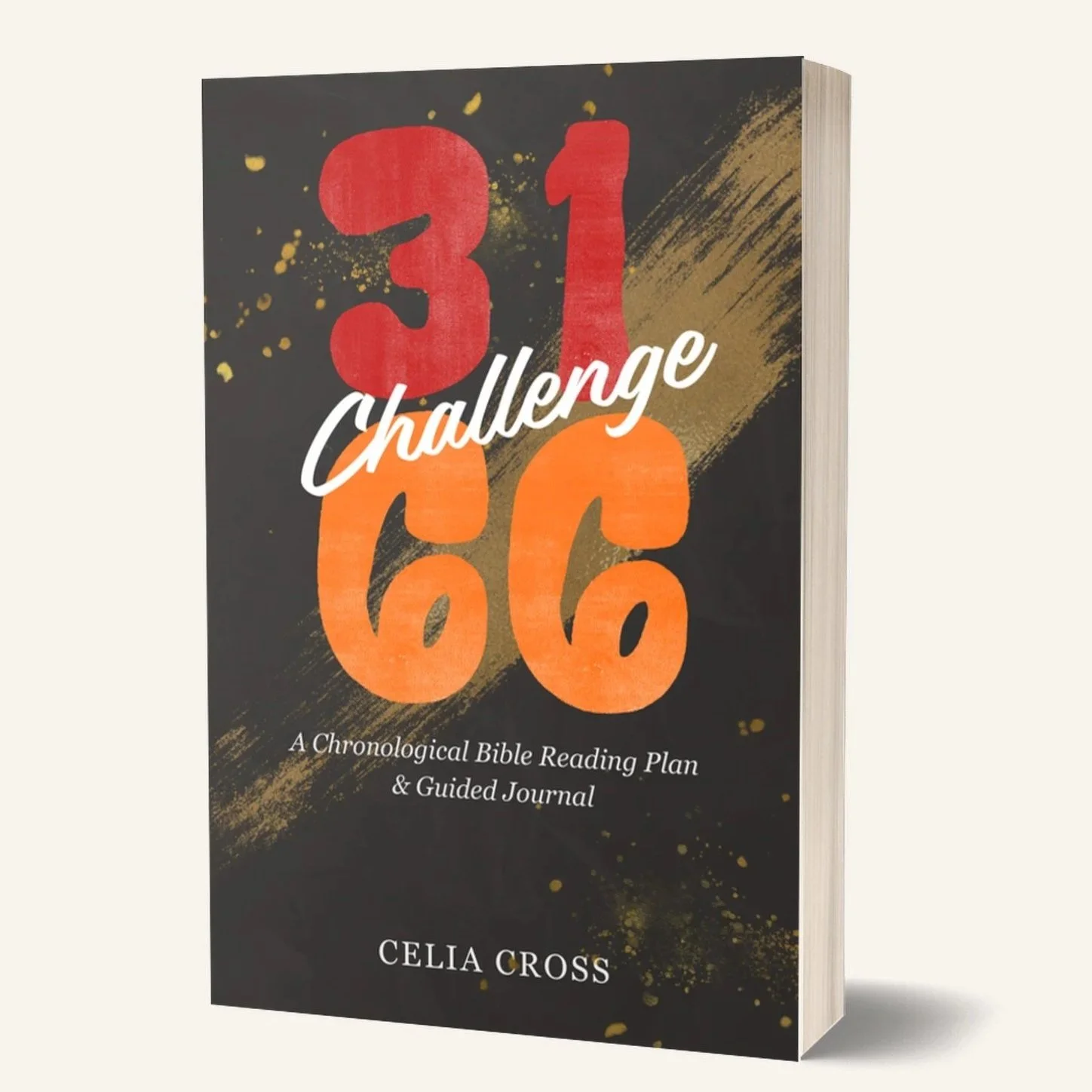 3166-journal-1-paperback_1.jpg