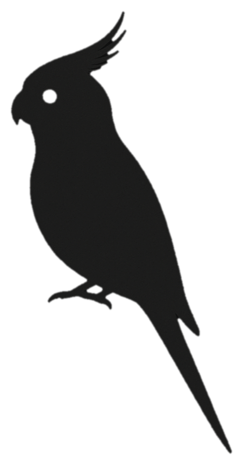 “It’s a strange business owning a bird”—The Vincent