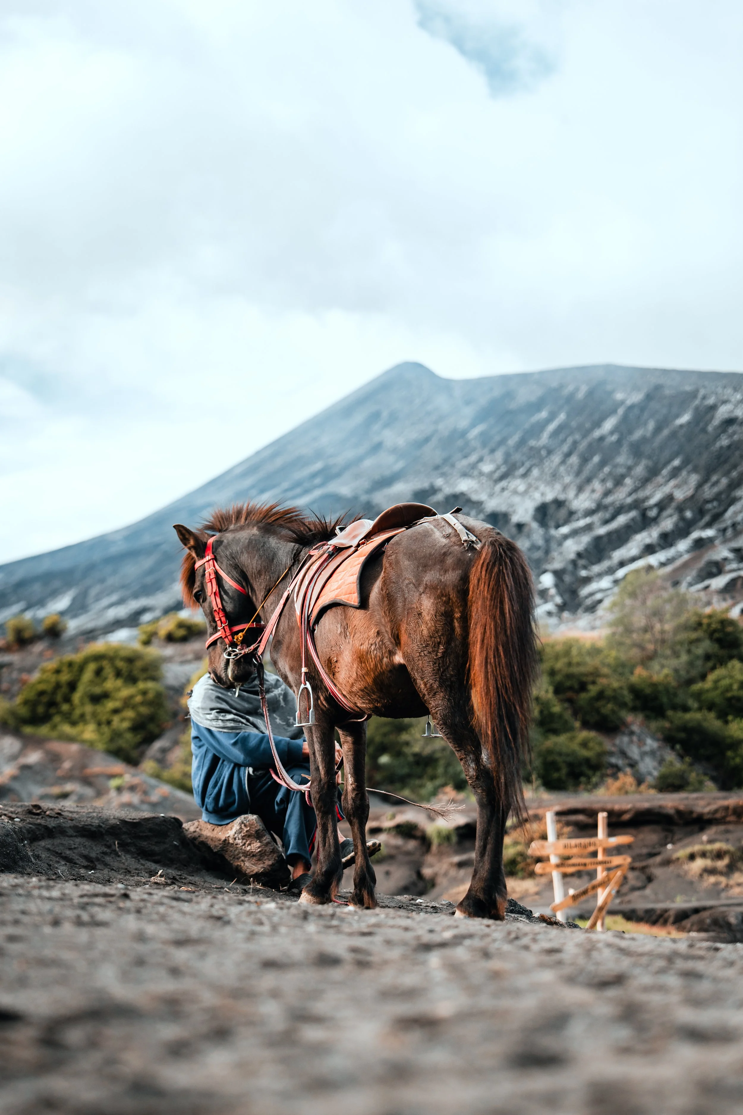 A person tending to a brown horse with a mountain and cloudy sky in the background.