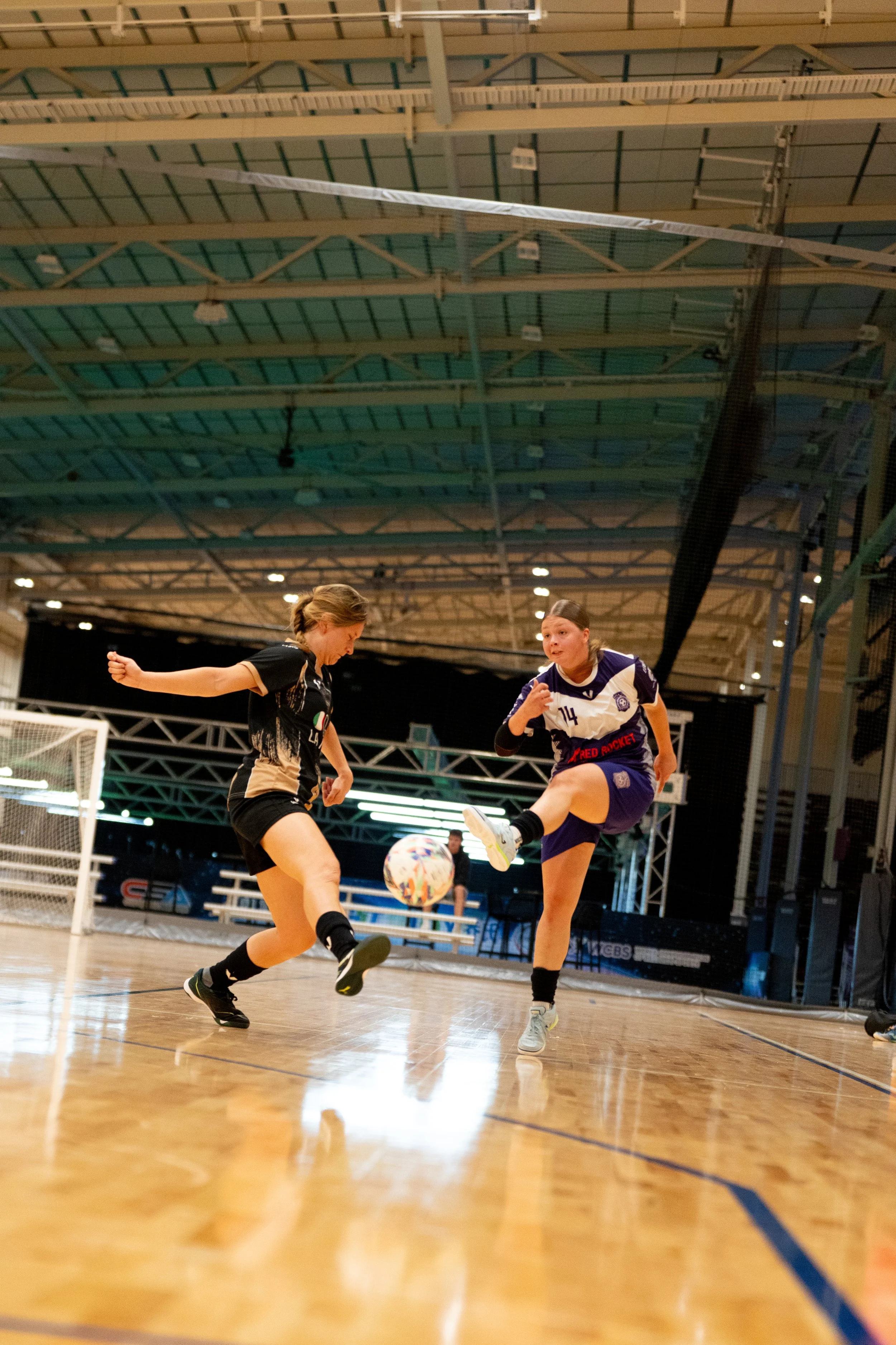 Two young women playing indoor soccer. One in a black and tan uniform and the other in a purple and white uniform, both chasing a soccer ball on a polished wooden court.