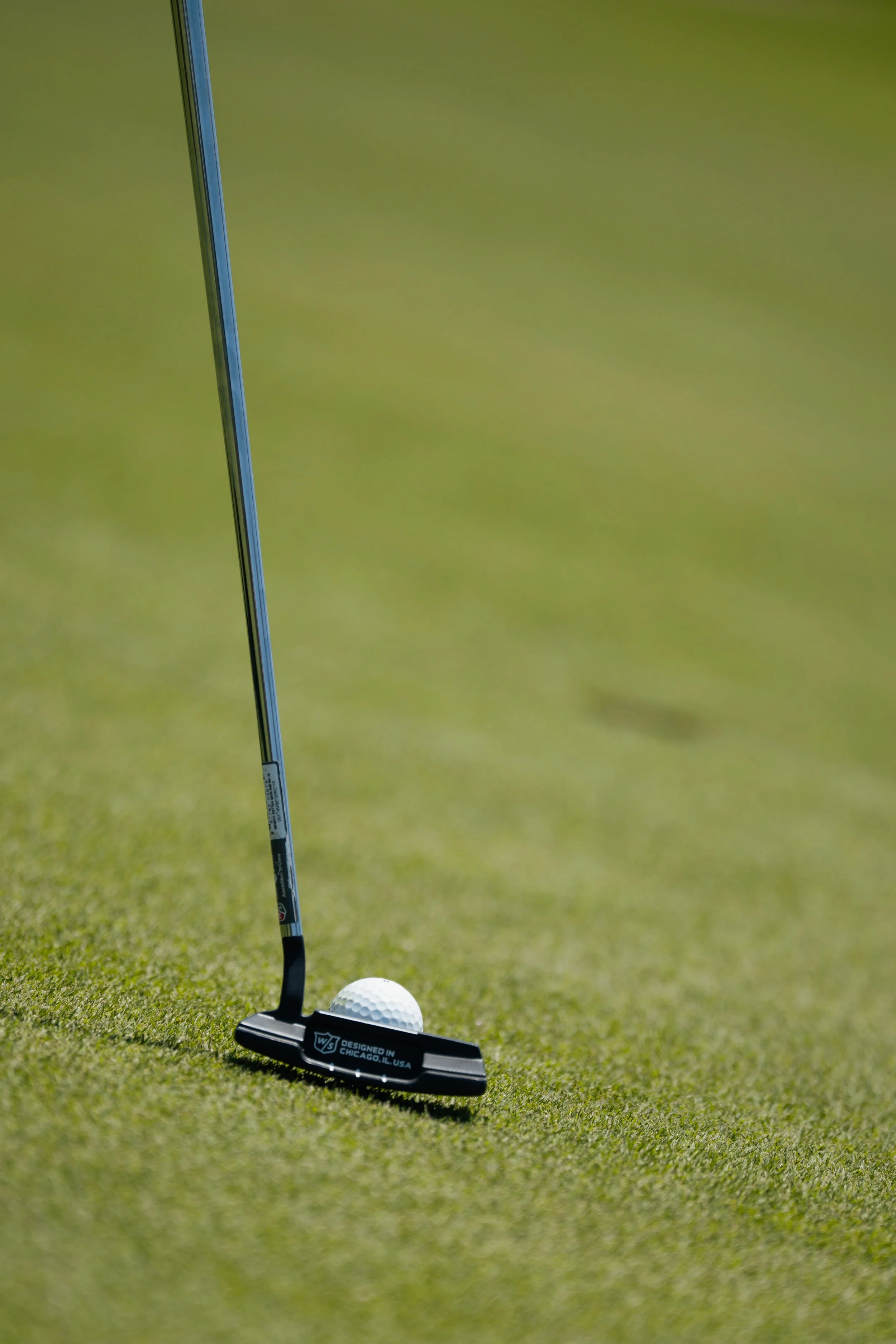Close-up of a golf putter and a golf ball on a putting green.