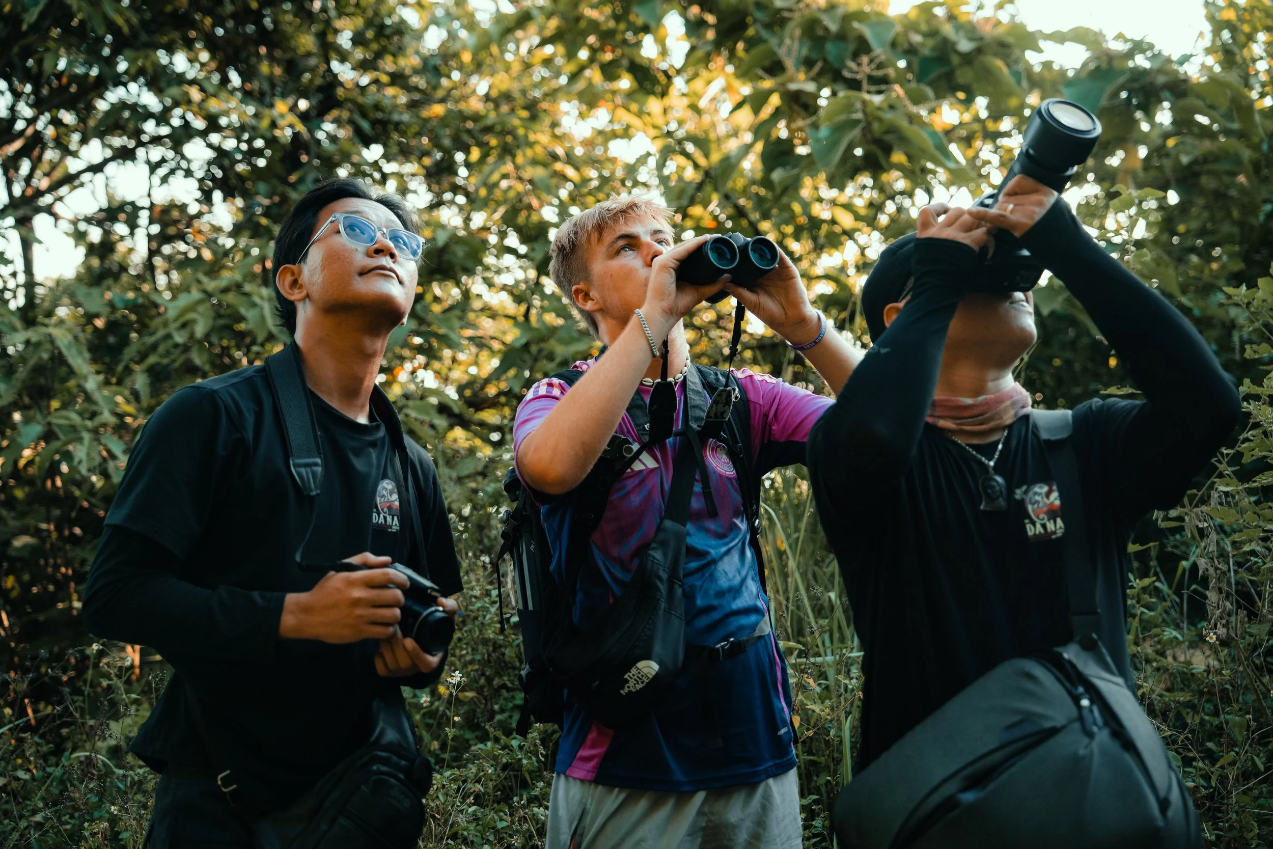 Three young adults exploring nature, looking at the sky with binoculars and a camera in hand, surrounded by trees and foliage.