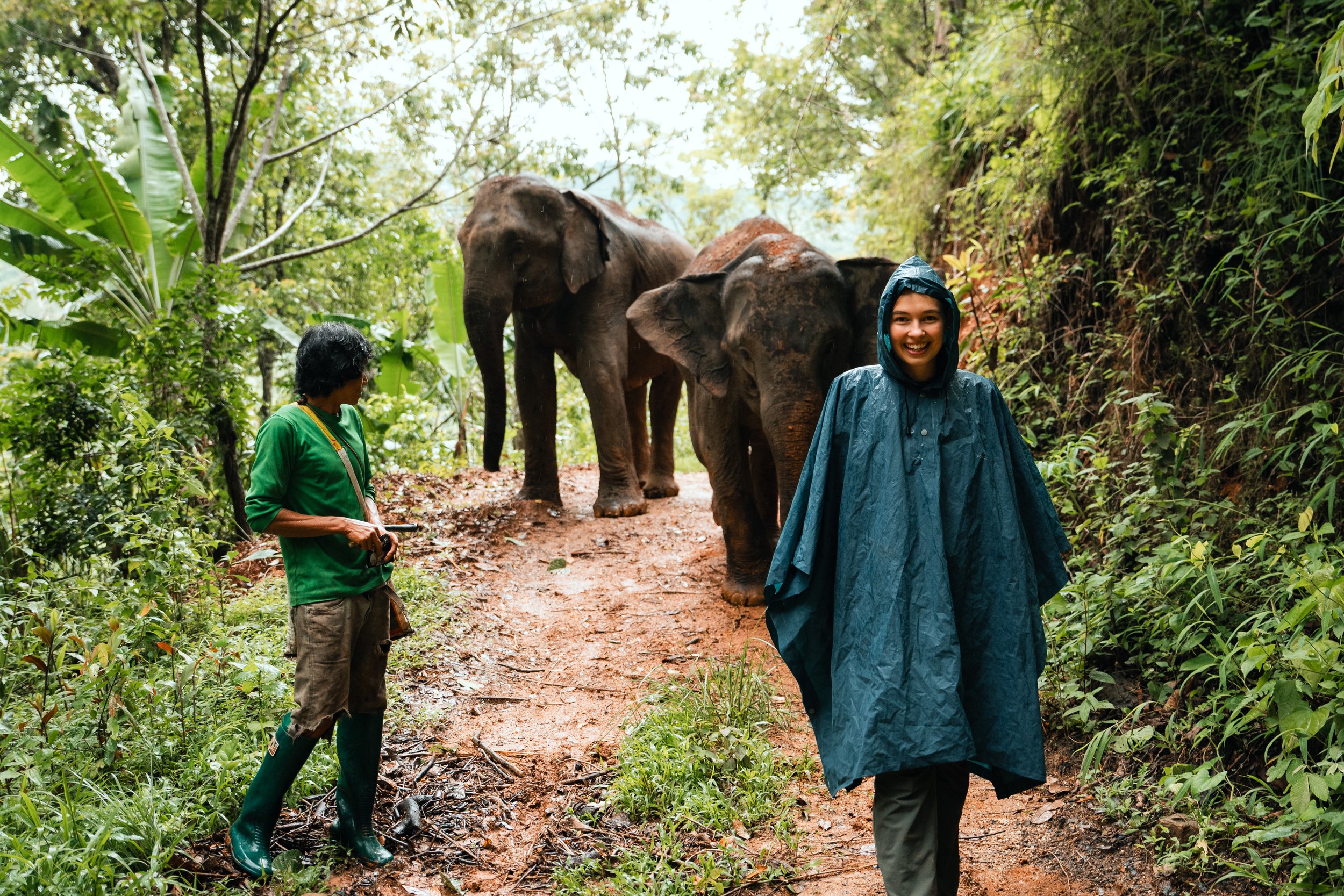 A smiling woman in a blue raincoat walking on a jungle trail with two elephants in the background, and another woman in green observing.