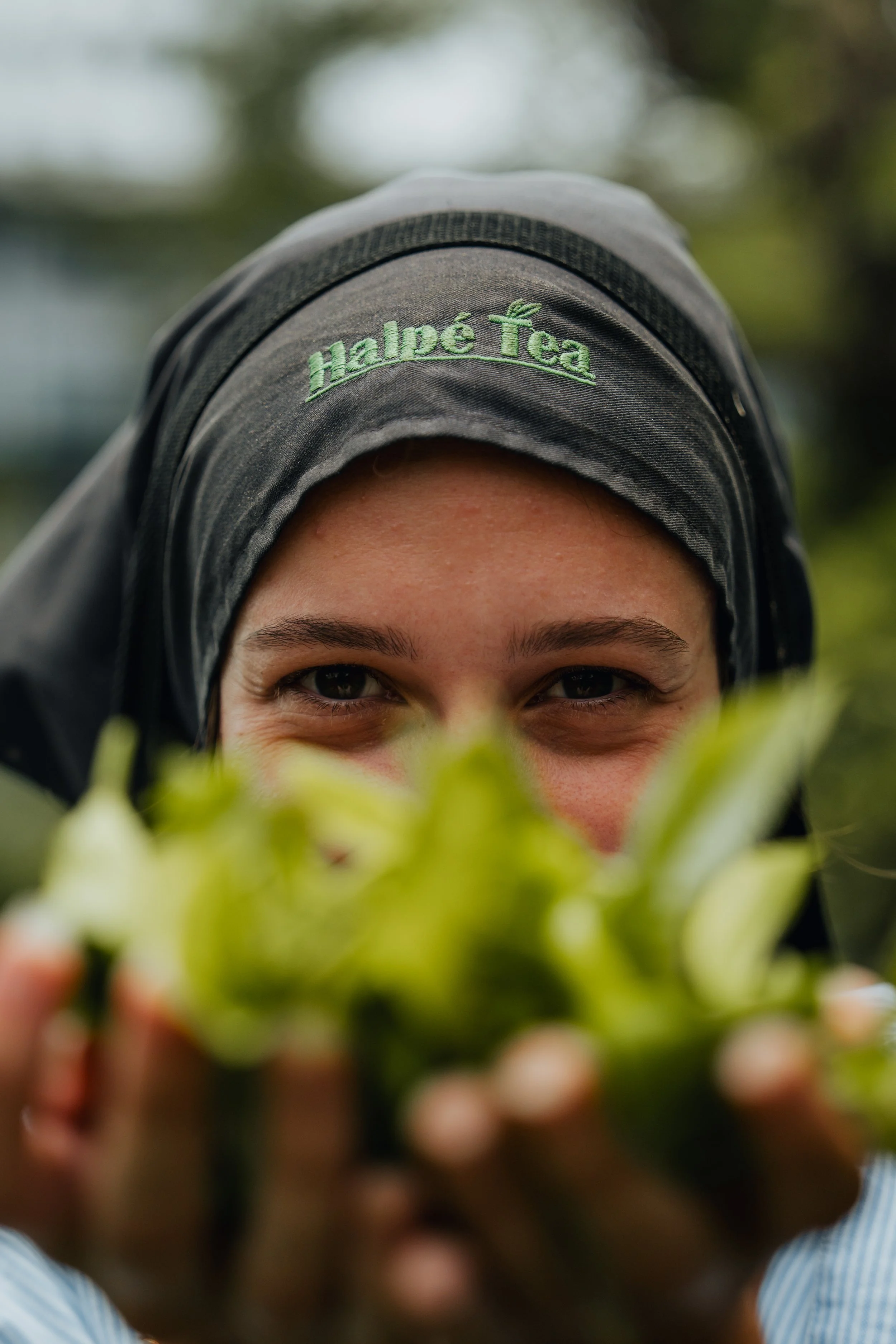 Person wearing a gray hat with green embroidery that says 'Halbé Téa,' holding green peppers close to the camera, with a blurred green background.