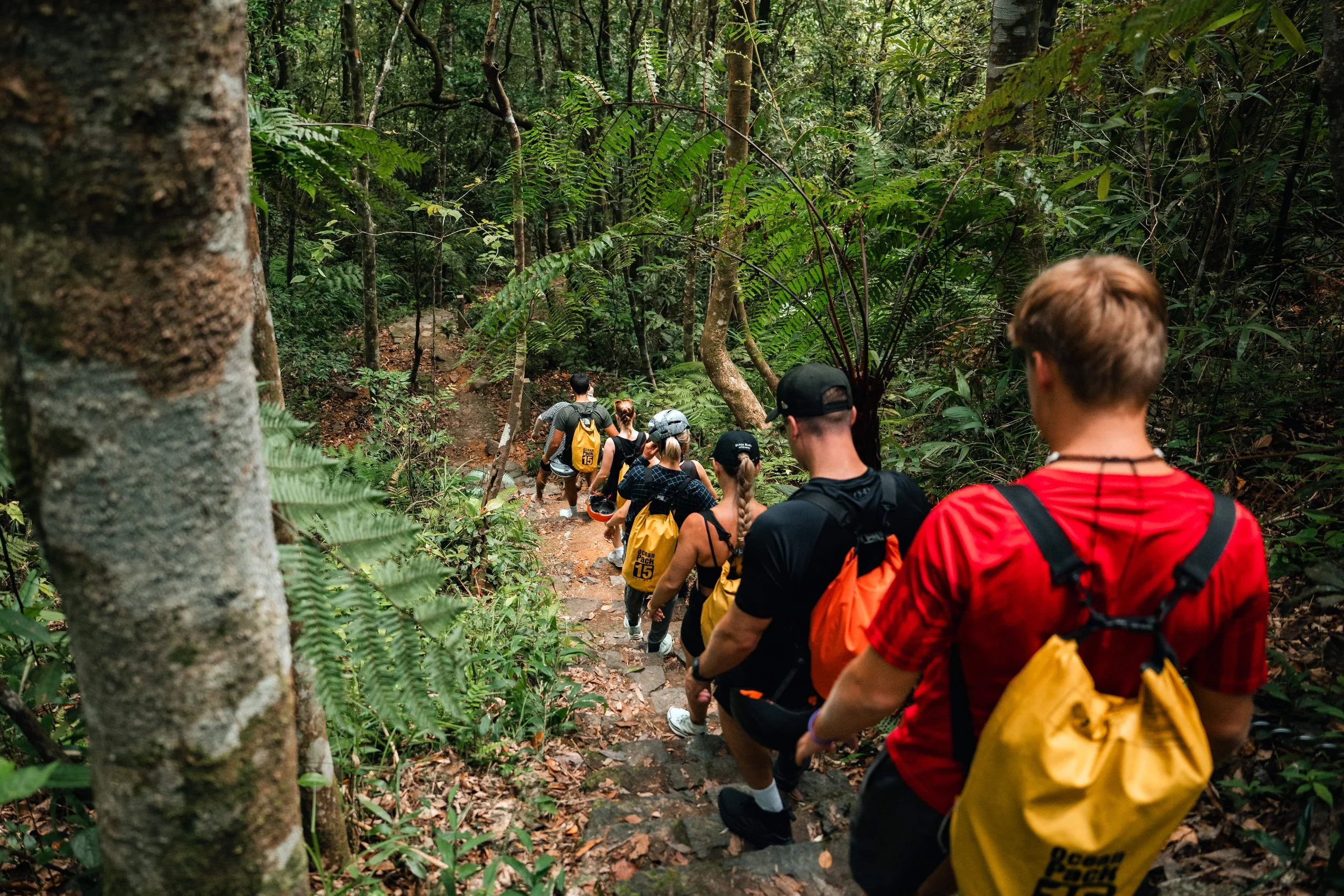 Group of hikers walking on a trail through the dense rainforest, surrounded by tall trees and lush greenery.