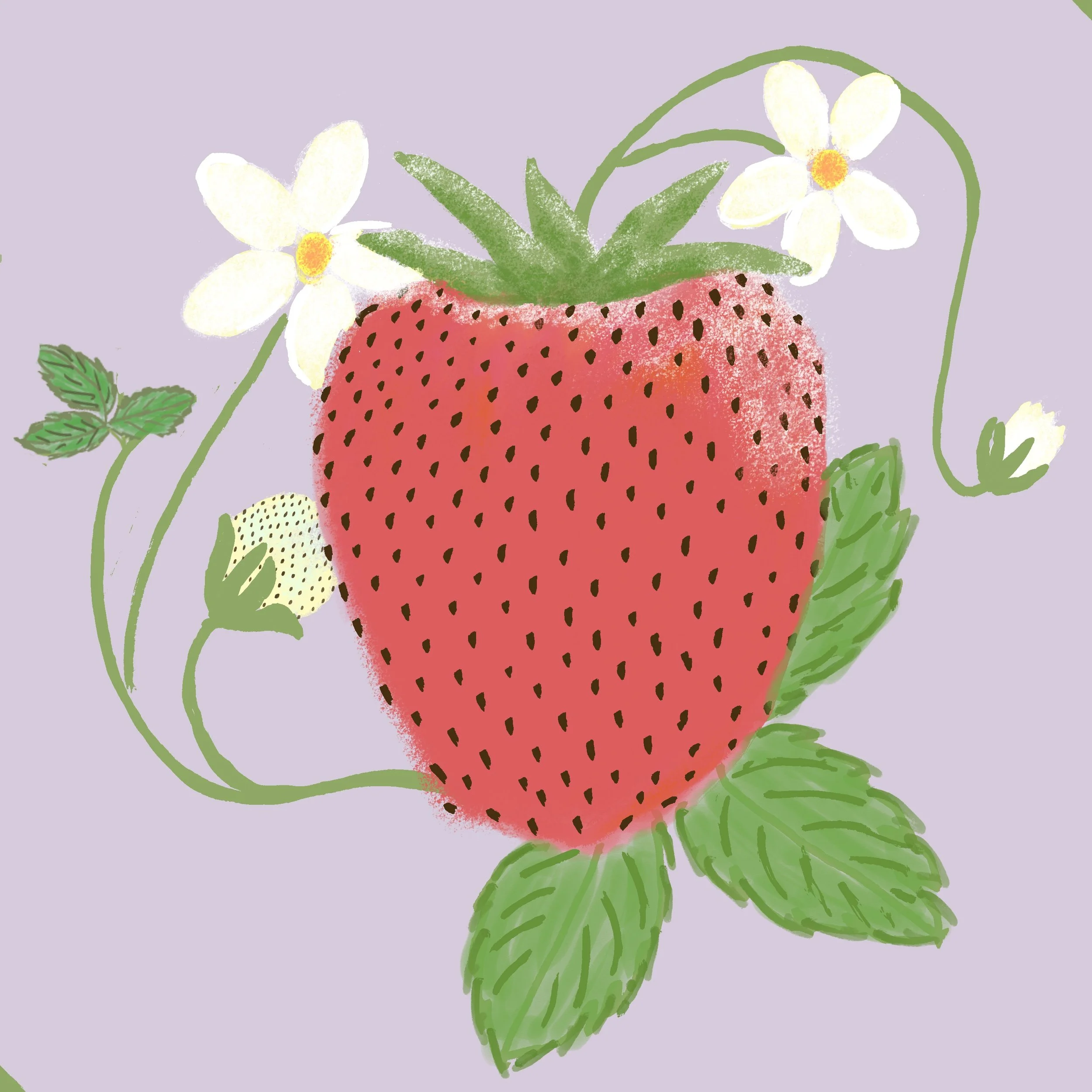 single-berry.jpg