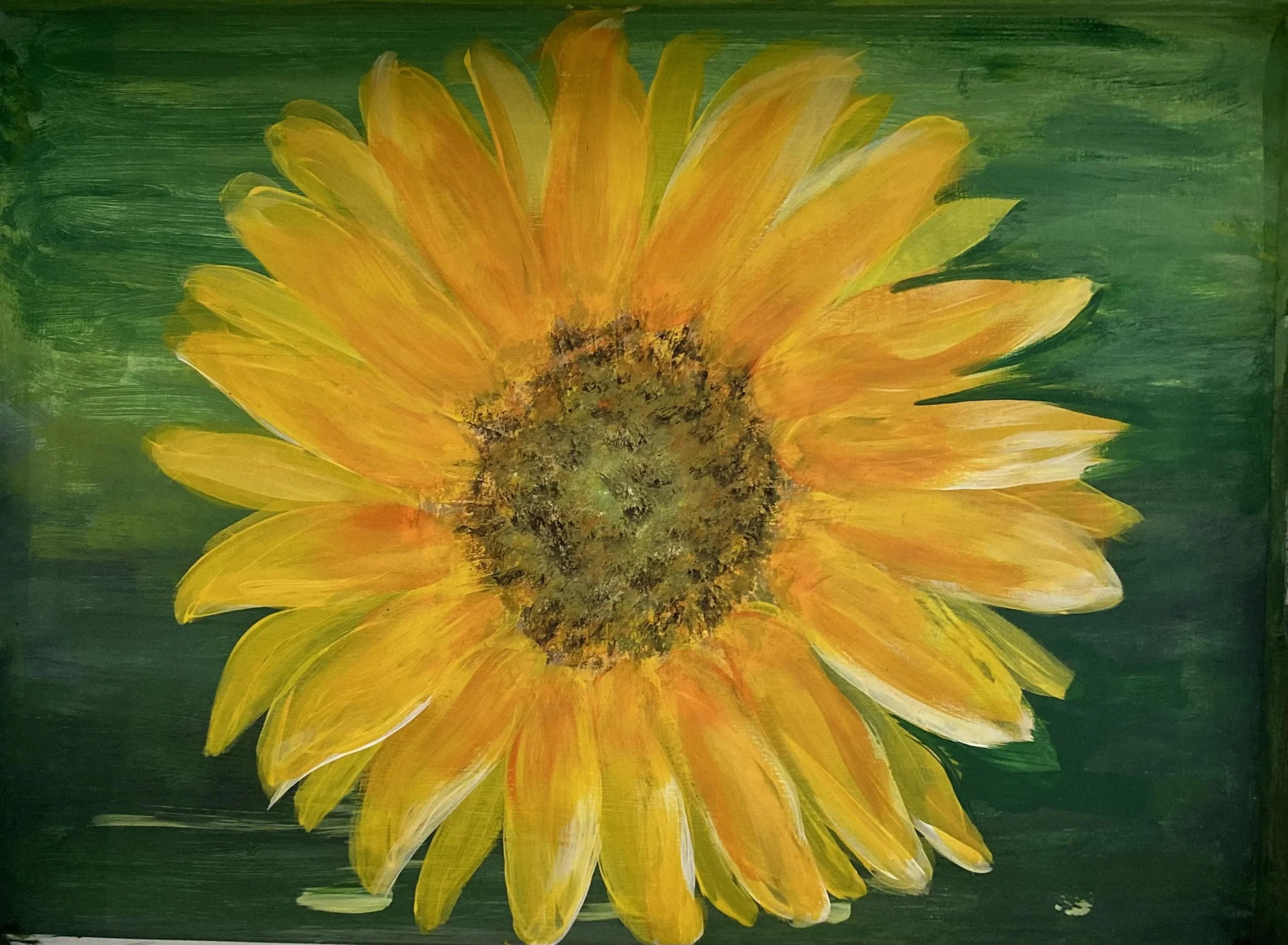 Sunflower1.jpg