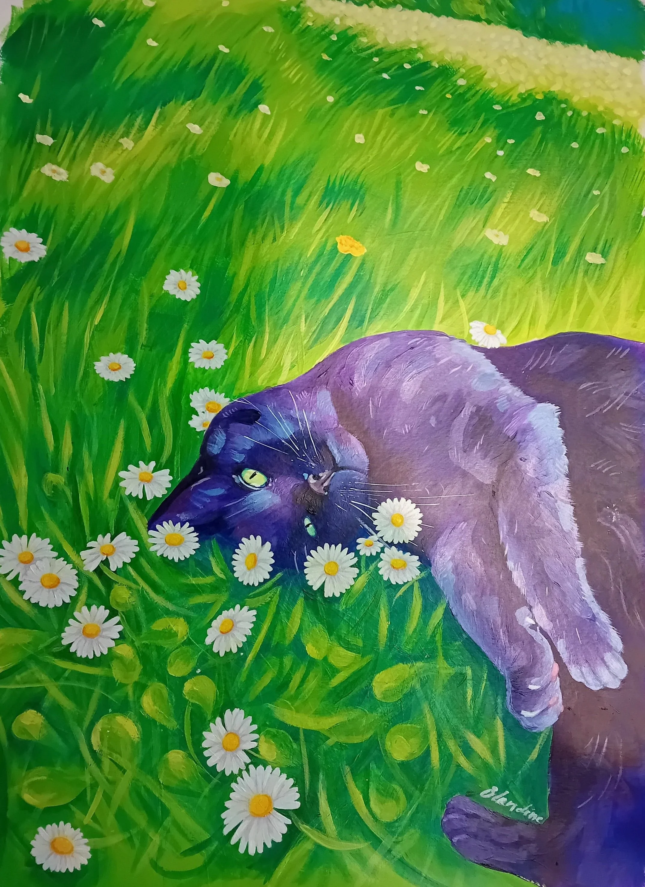 Portrait de "Filou" dans l'herbe