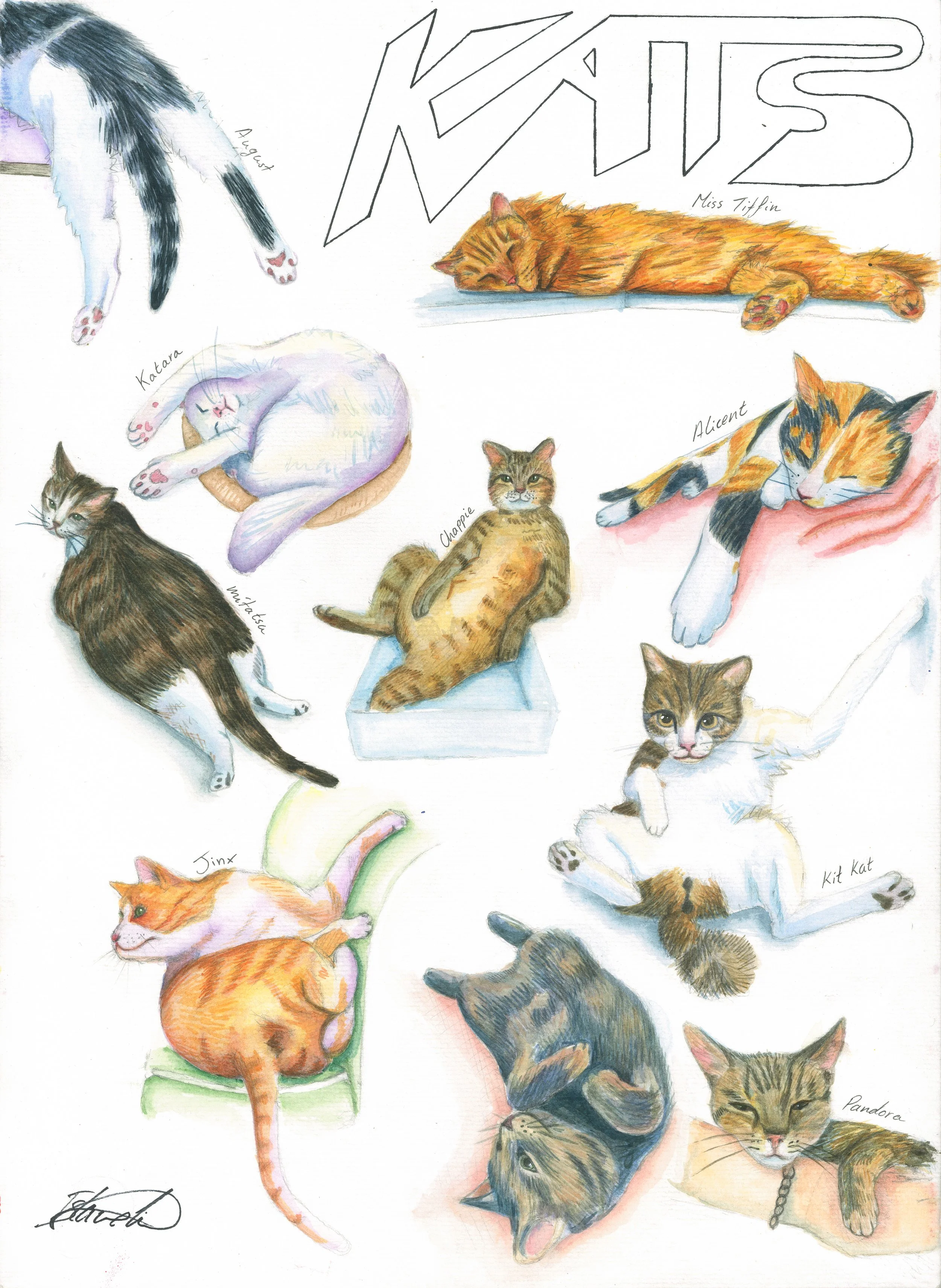 "kats" illustrarion