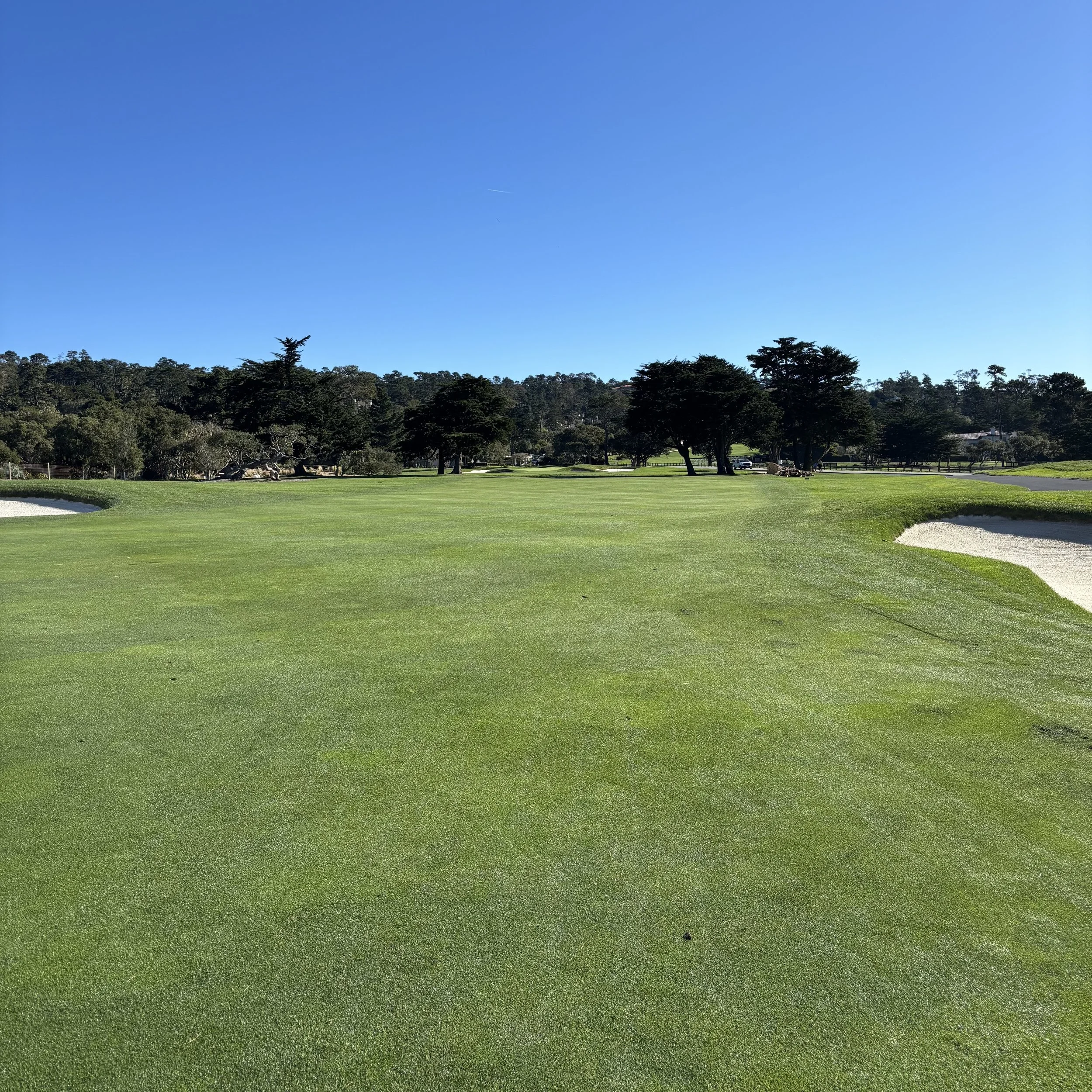 Pebble beach_1581.jpeg