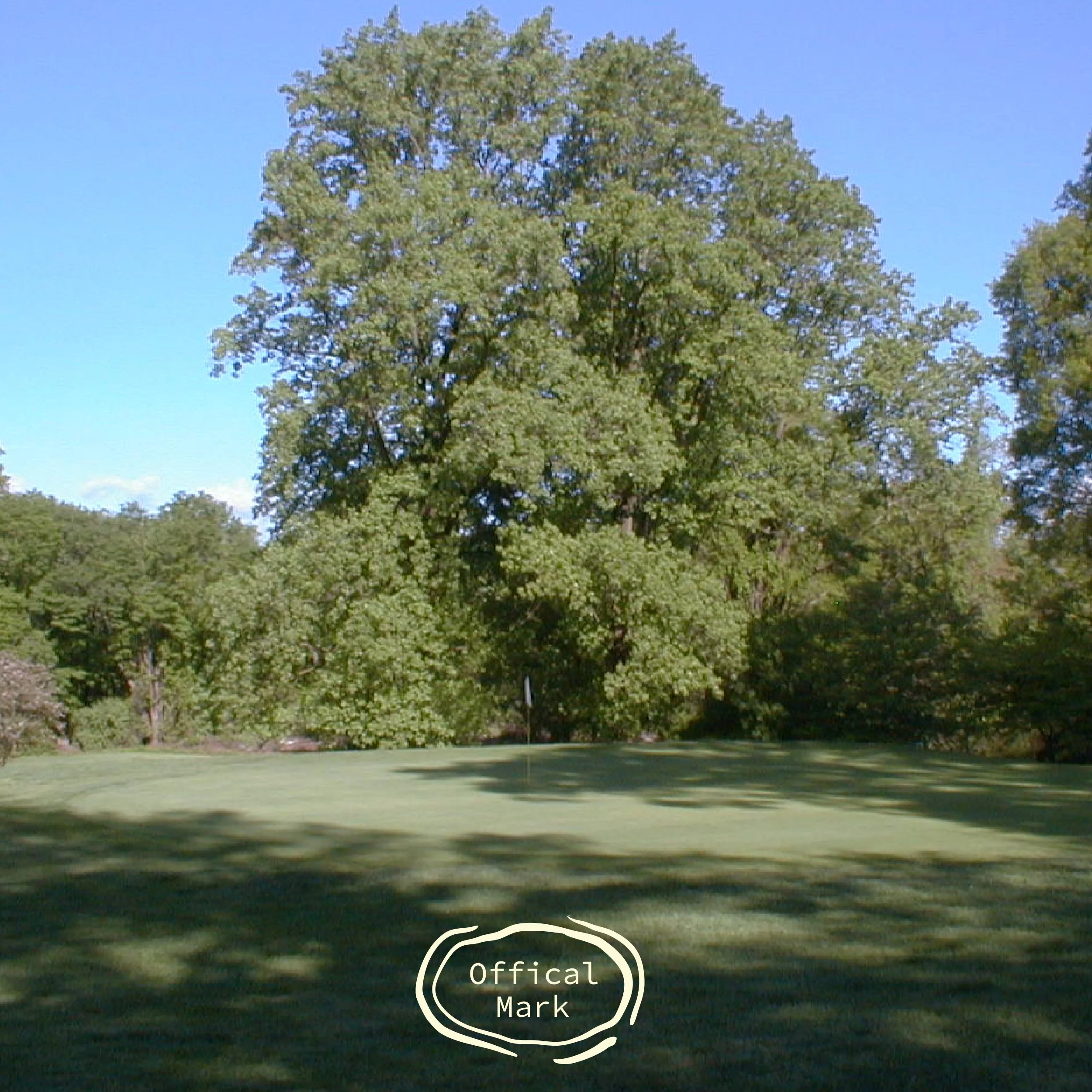 6.4 - Van Cortlandt Golf Course