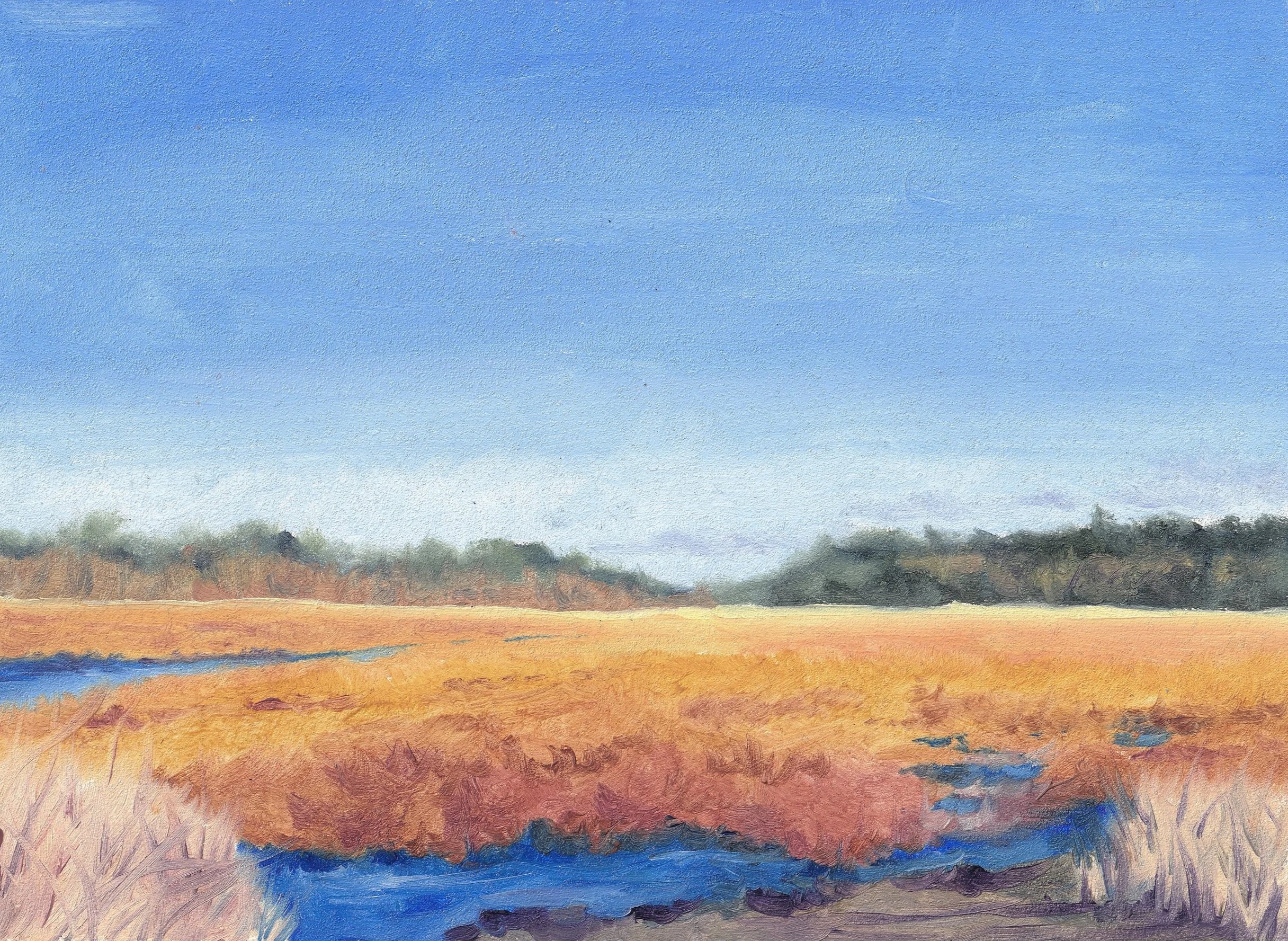 Great+Meadows+Nature+Conserve.jpg