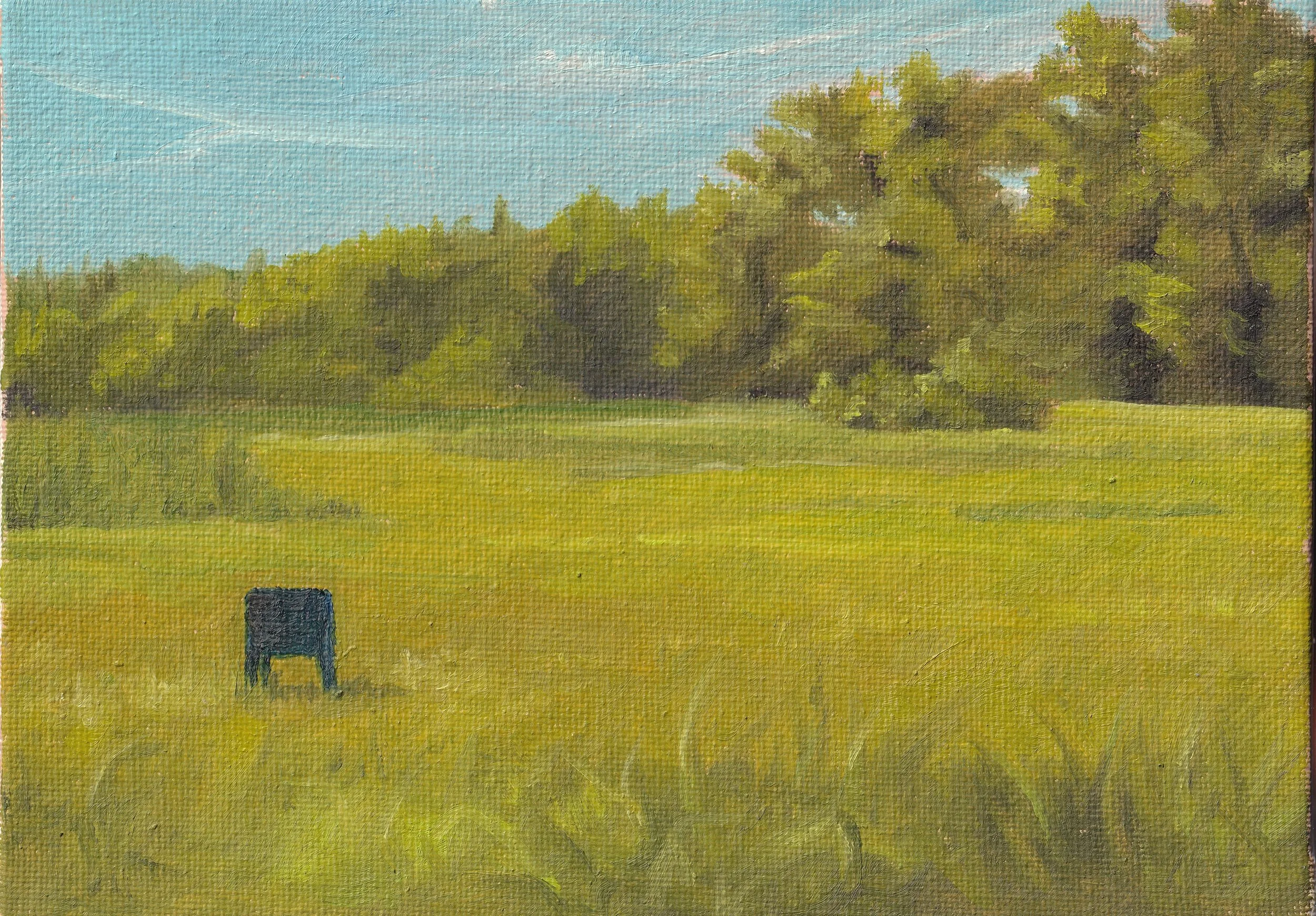 Marsh in Summer Original Oil Painting