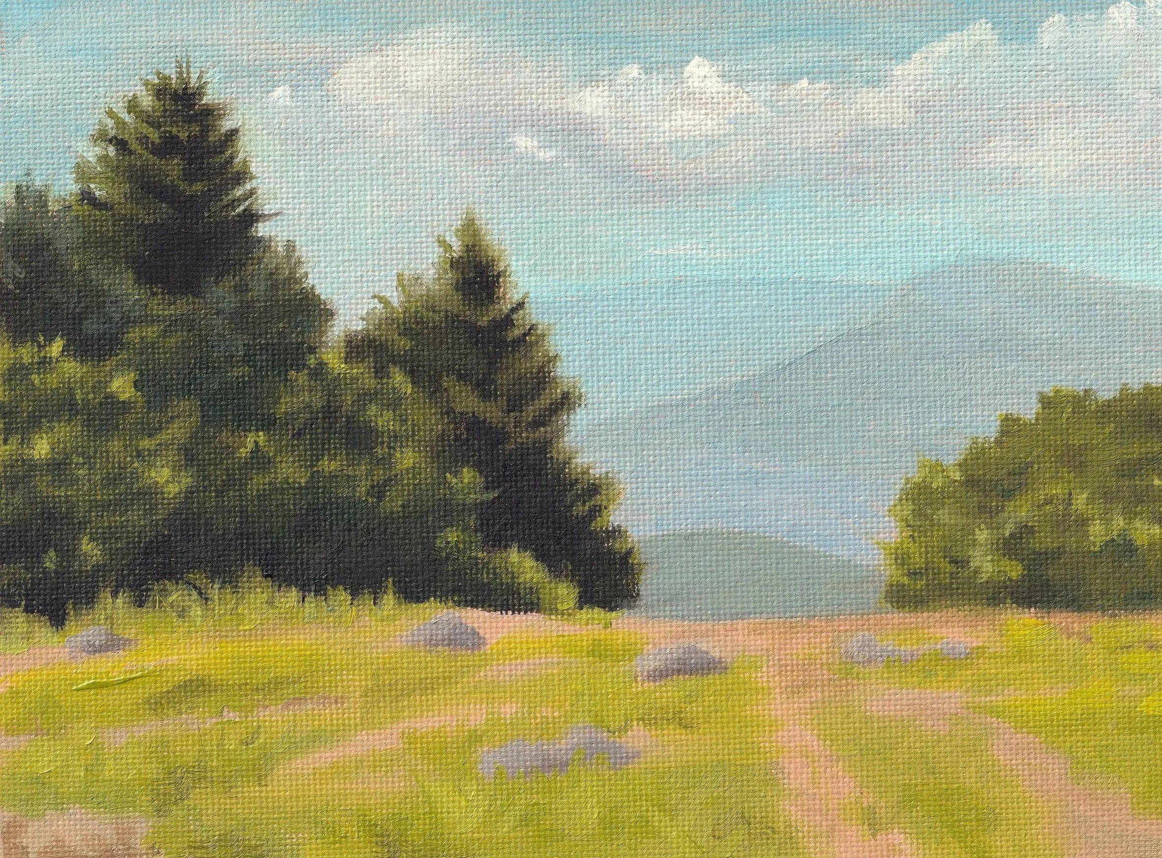 Ski+Slope+in+Summer+II.jpg