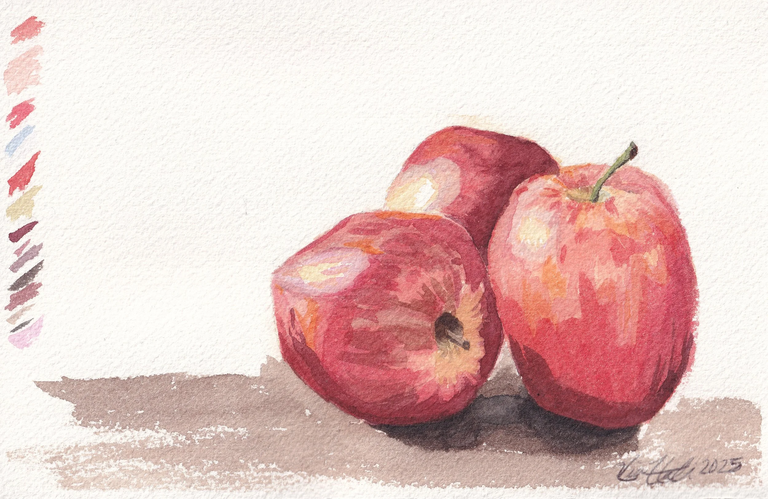 Apply Study Watercolor Painting