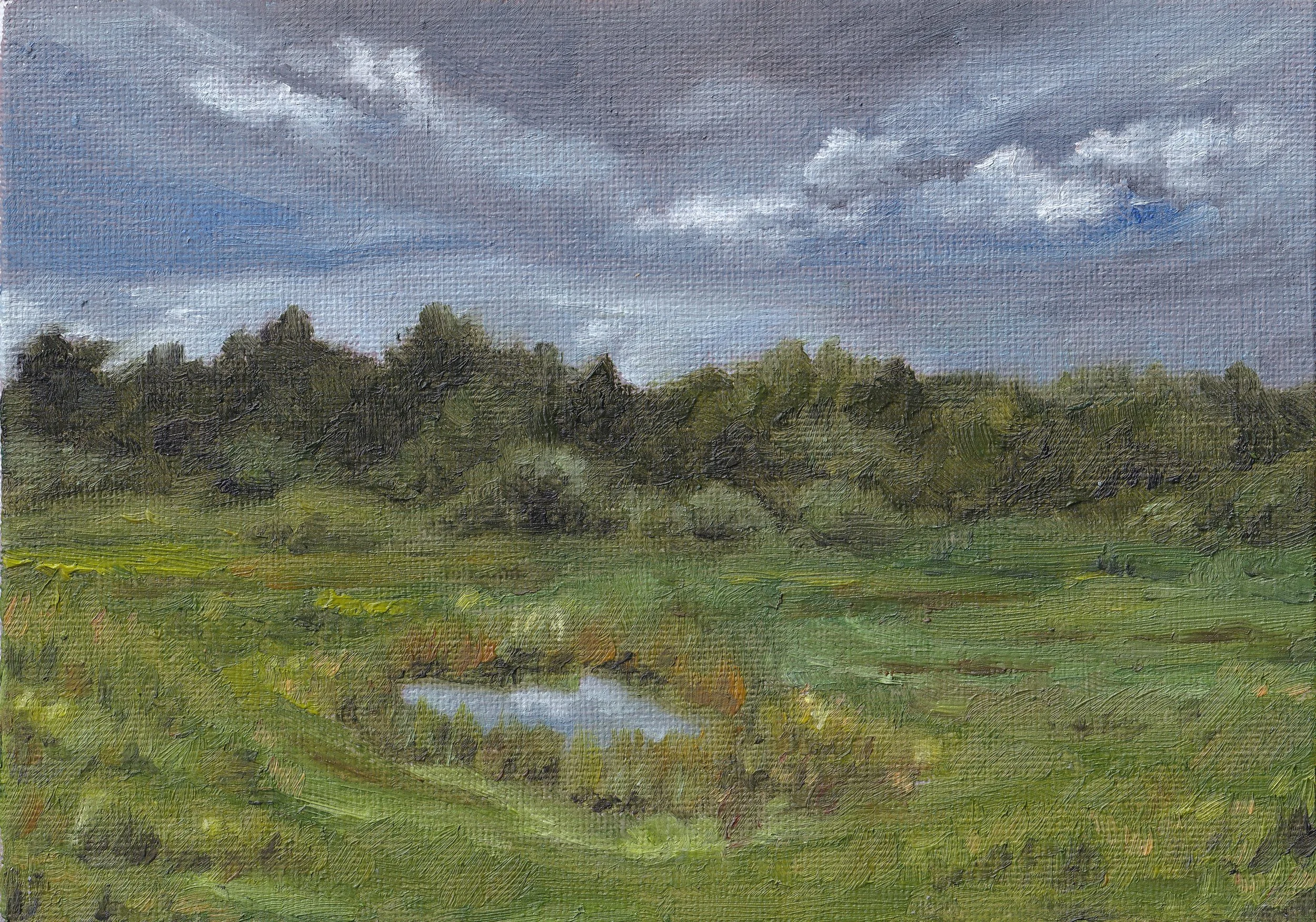 Original Stormy Field Landscape Oil Painting
